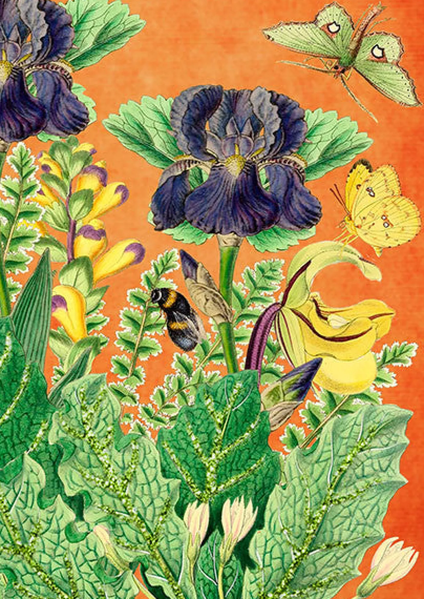 Suki's Garden  Glitter Greetings Card