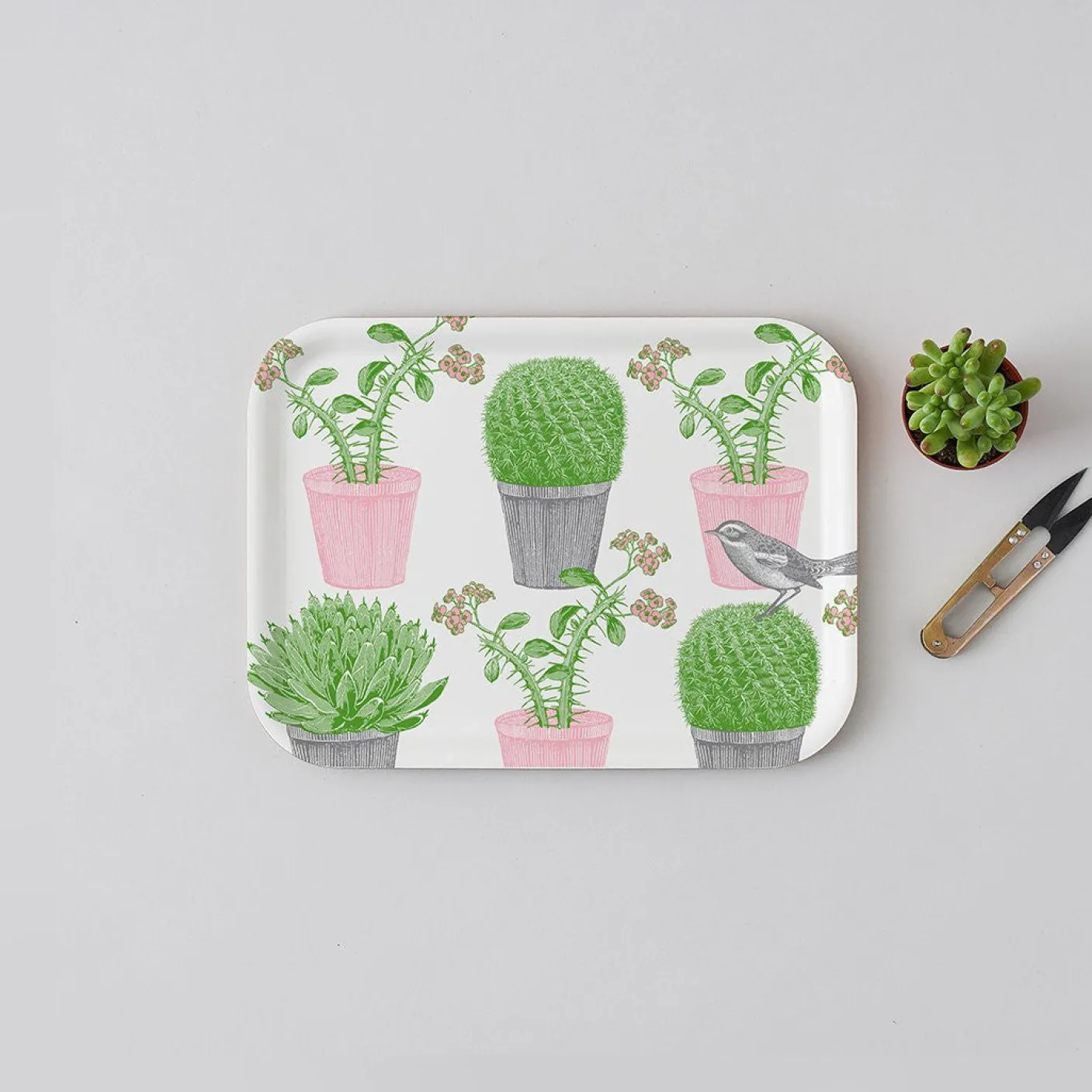 Cactus & Bird Small Tray