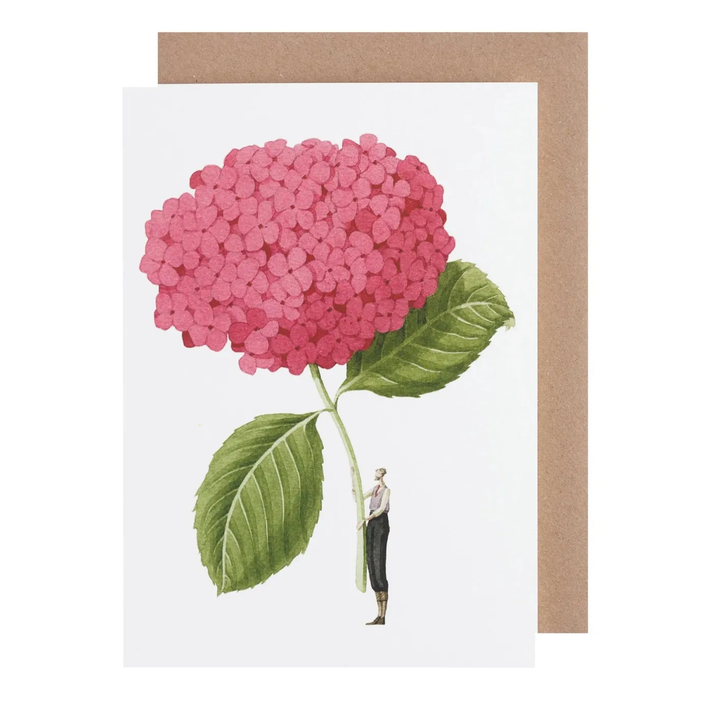 Dark Pink Hydrangea Blank Greetings Card