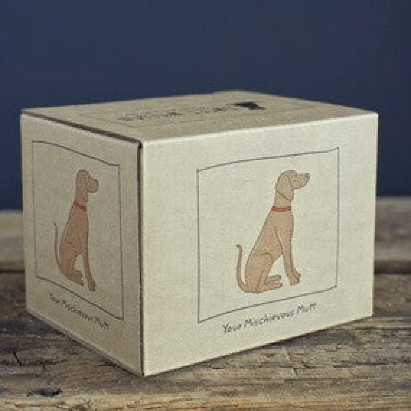 Vizsla Mug Boxed