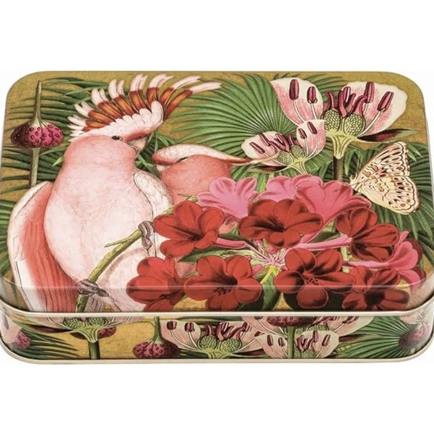 Whimsical Small Rectangular Tin