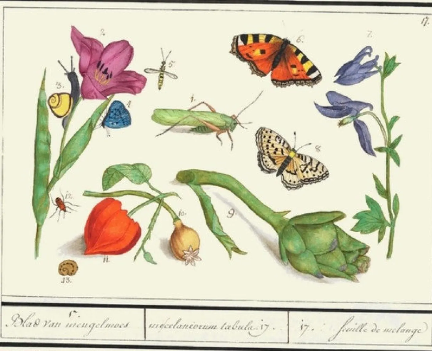 In the Garden - Little Vintage Greeting Card