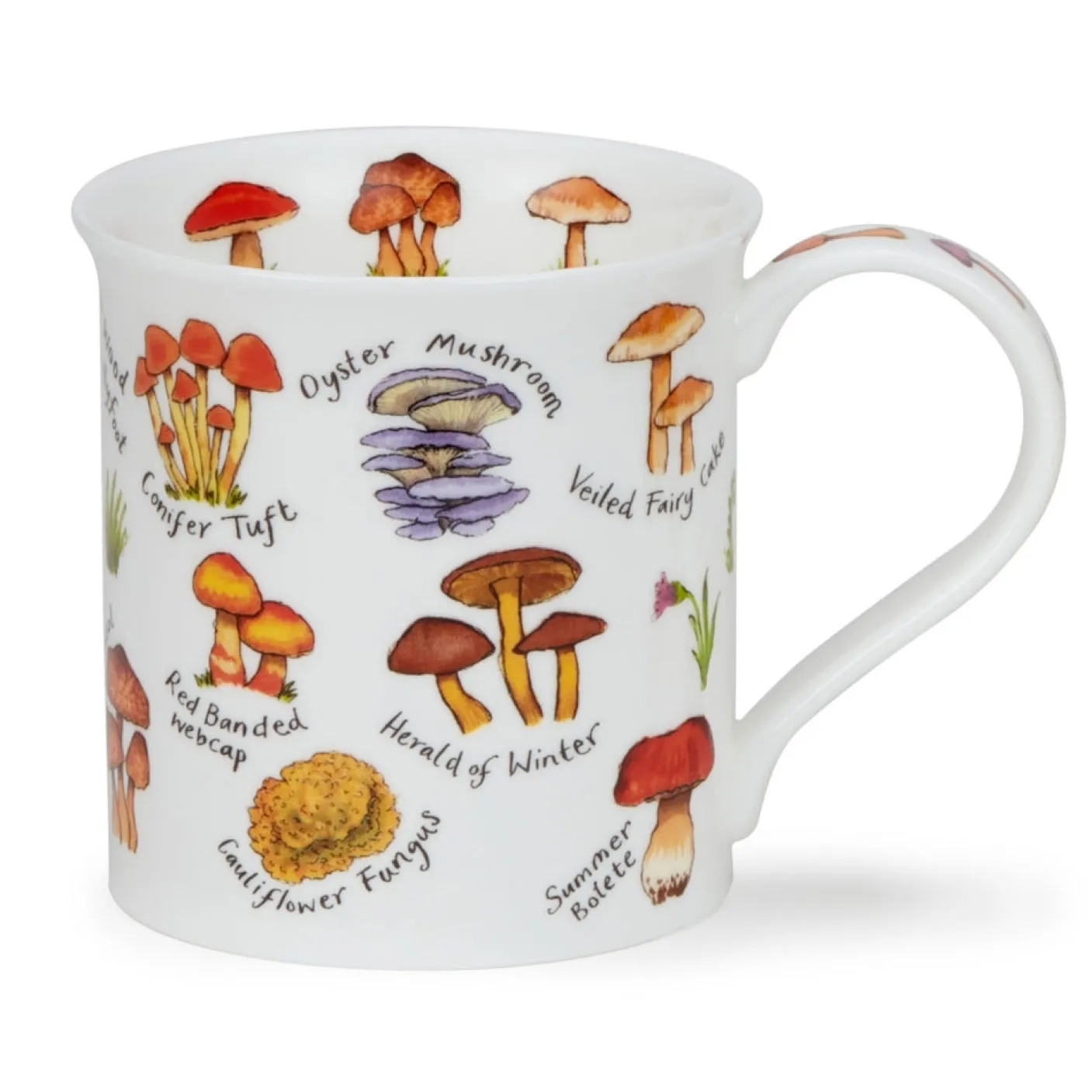 Bute Mushrooms & Toadstools Mug