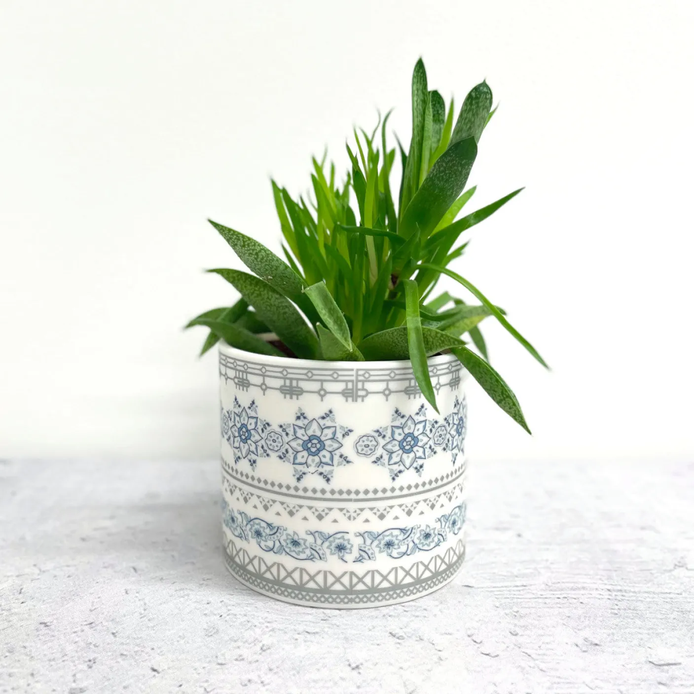 Safflower Ceramic Planter Pot/Tea Light Holder
