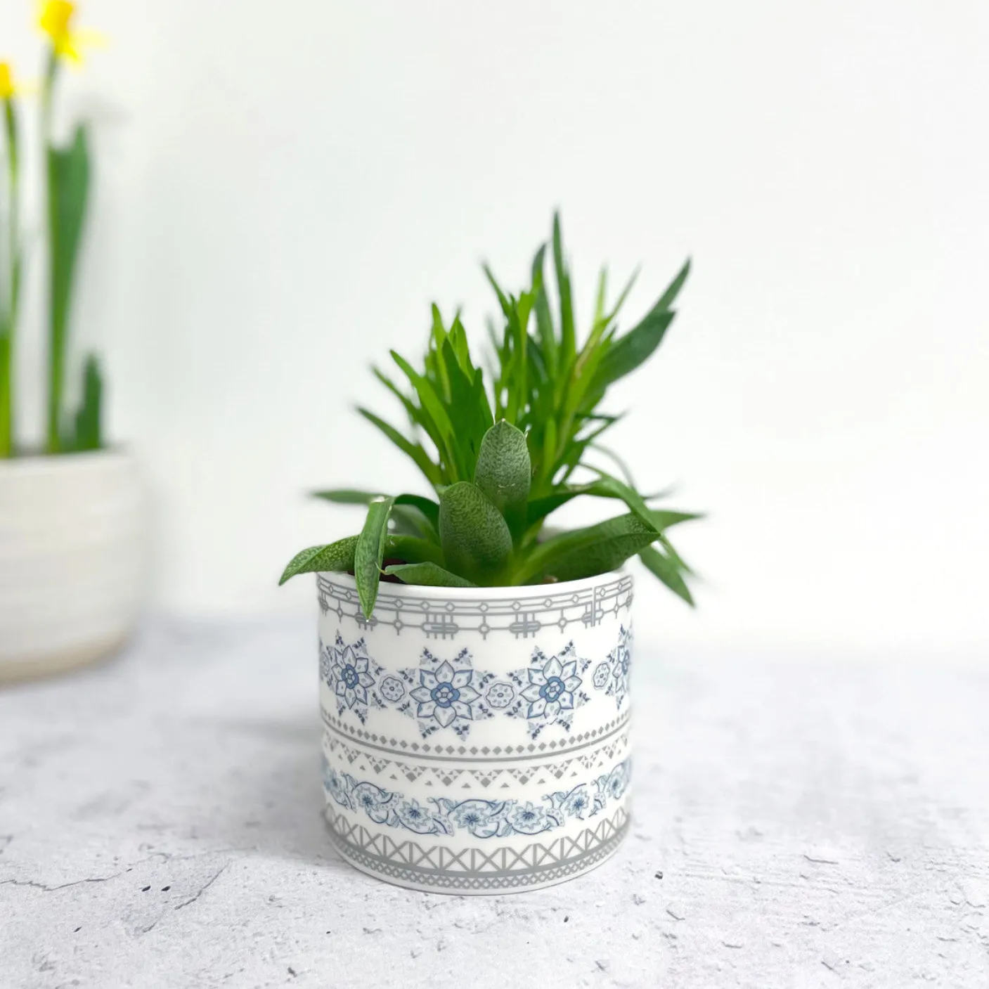 Safflower Ceramic Planter Pot/Tea Light Holder