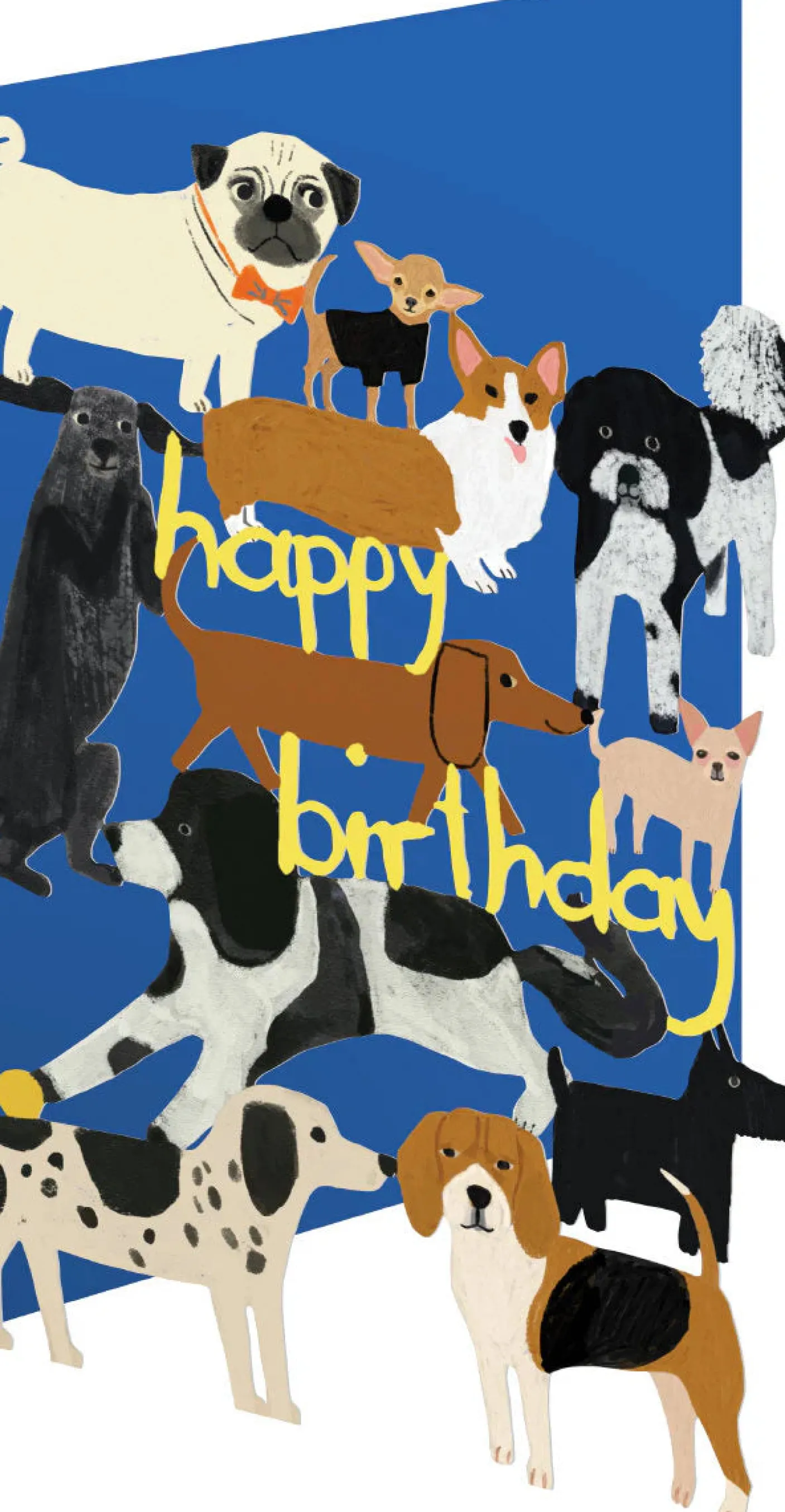 Playful Dogs, Birthday Laser Greeting Card