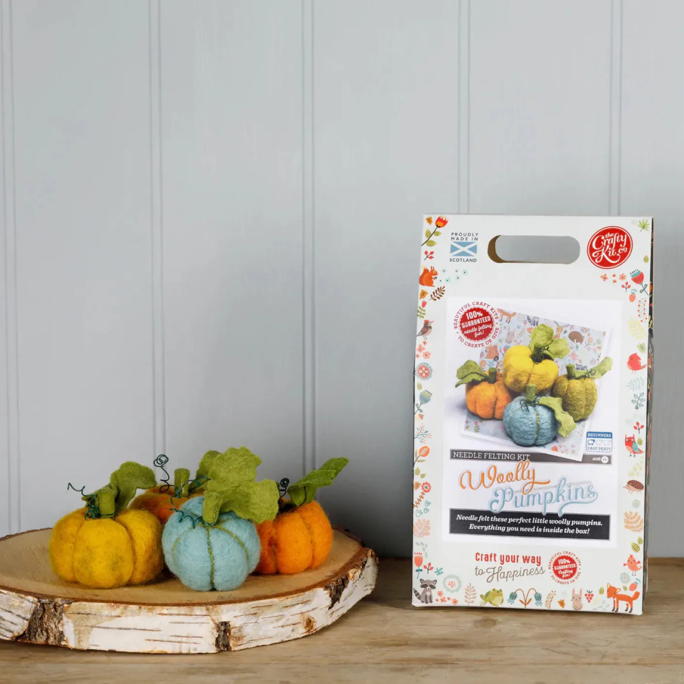 Woolly Pumpkins Needle Felting Kit