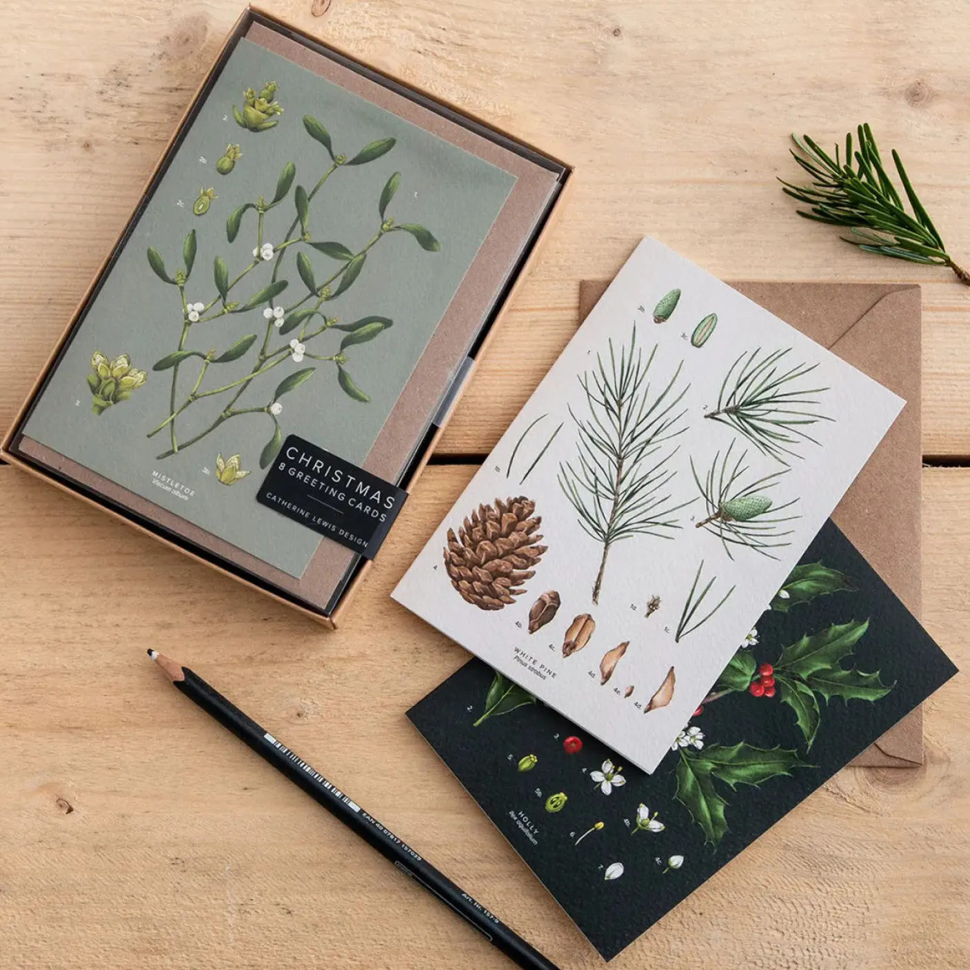 Species Range - Box of 8 Luxury Botanical Christmas Cards