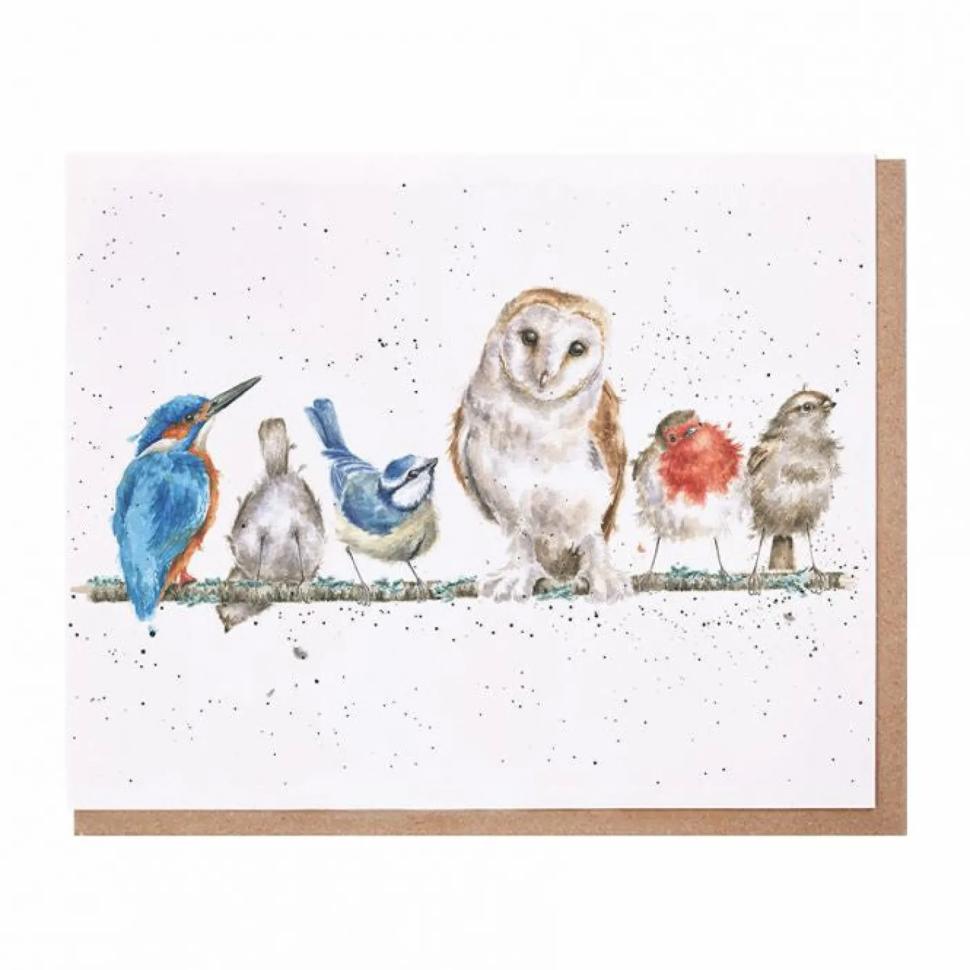 "Variety of Life" Bird Greetings Card