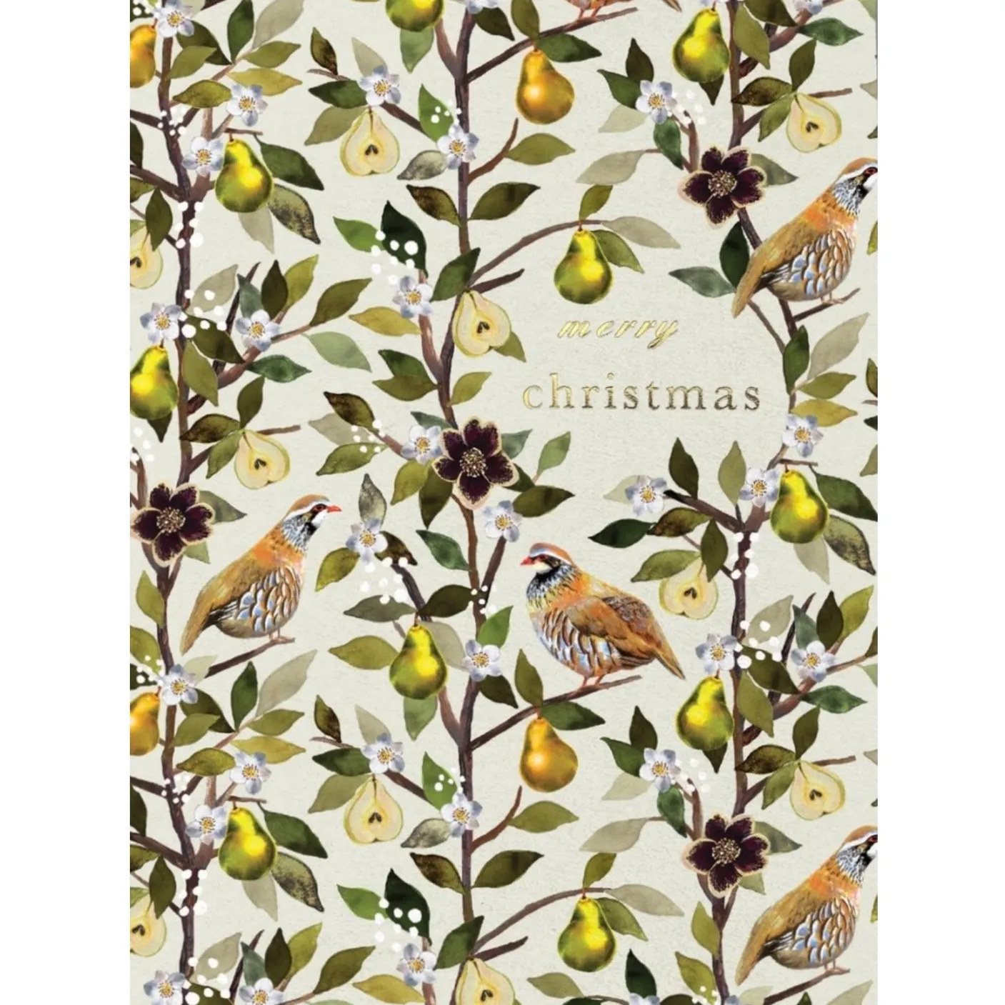 Partridge in a Pear Tree Greeting Card