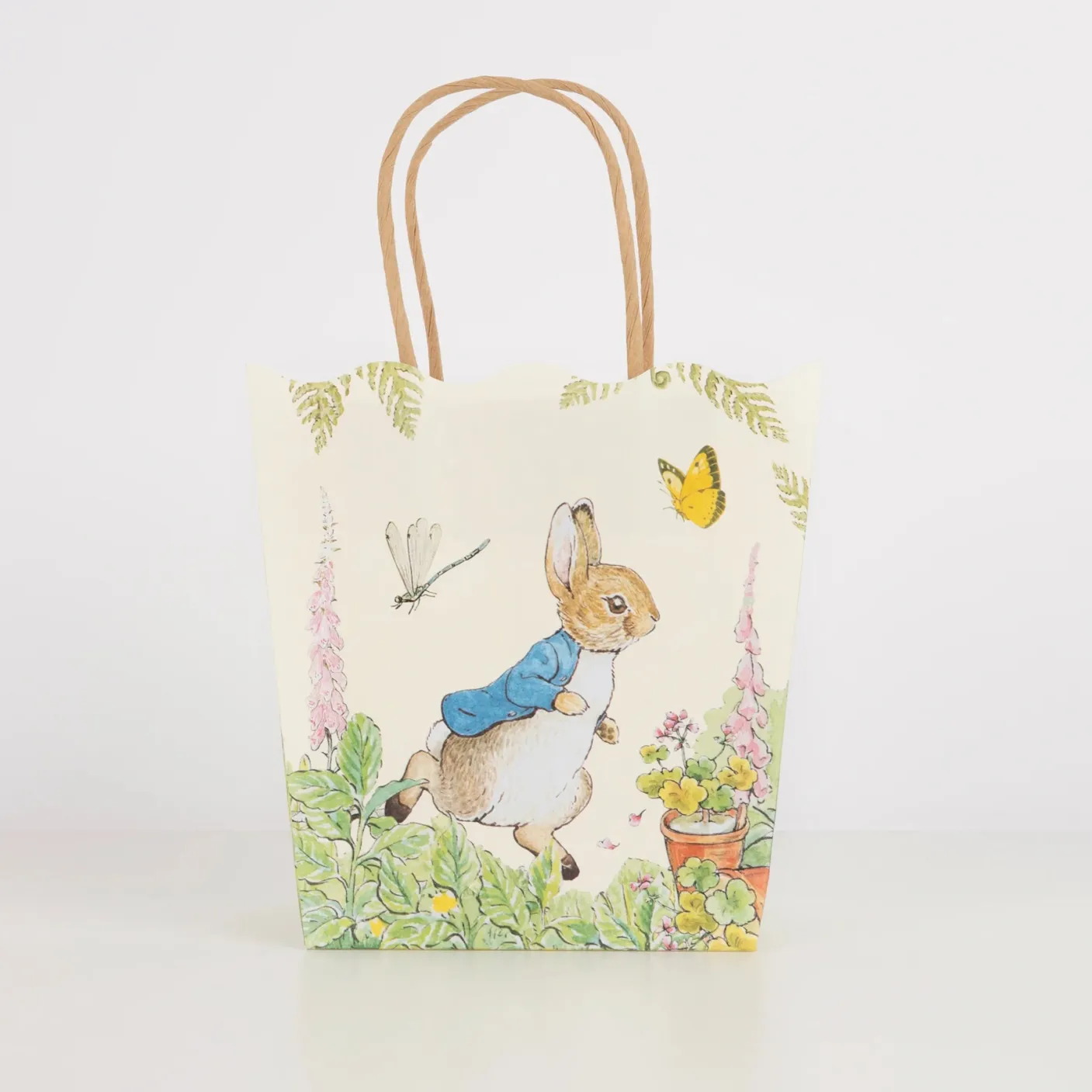 Peter Rabbit In The Garden Party Bags