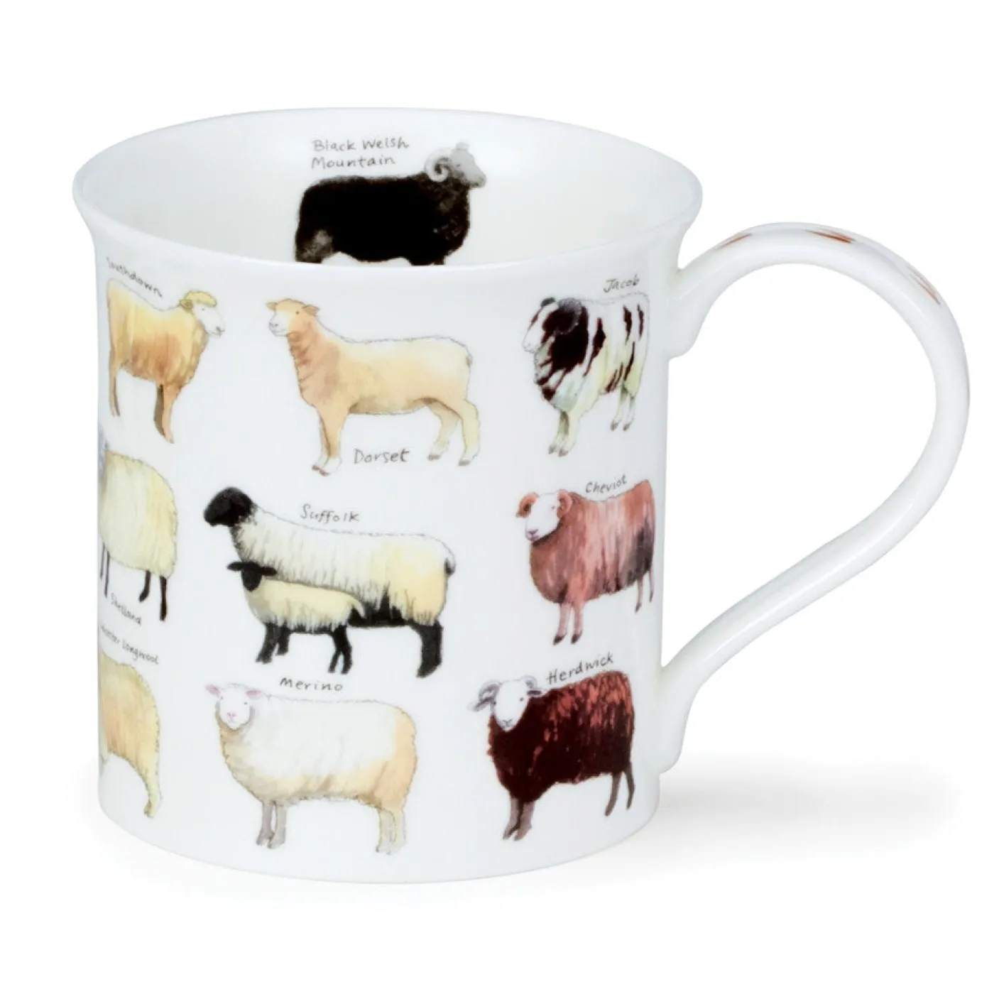 Bute Animal Breeds Mug
