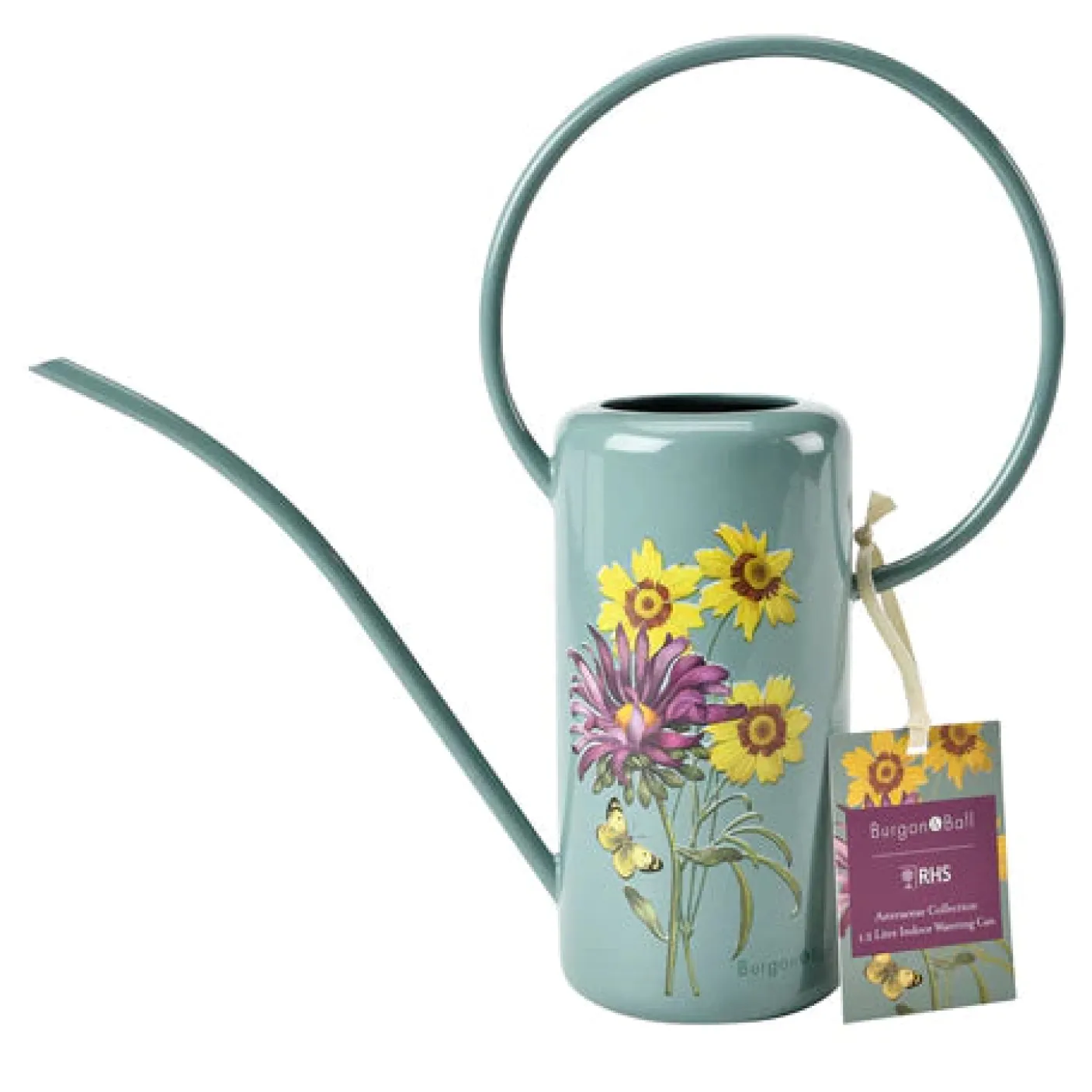 RHS Asteraceae Indoor Watering Can