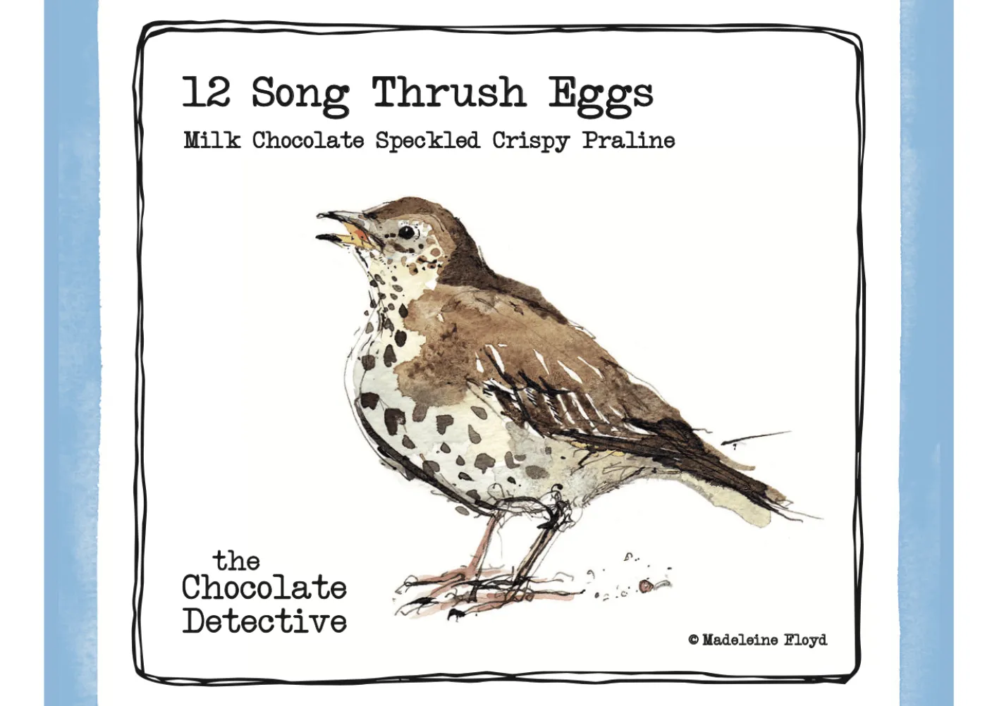 12 Song Thrush Eggs by The Chocolate Detective