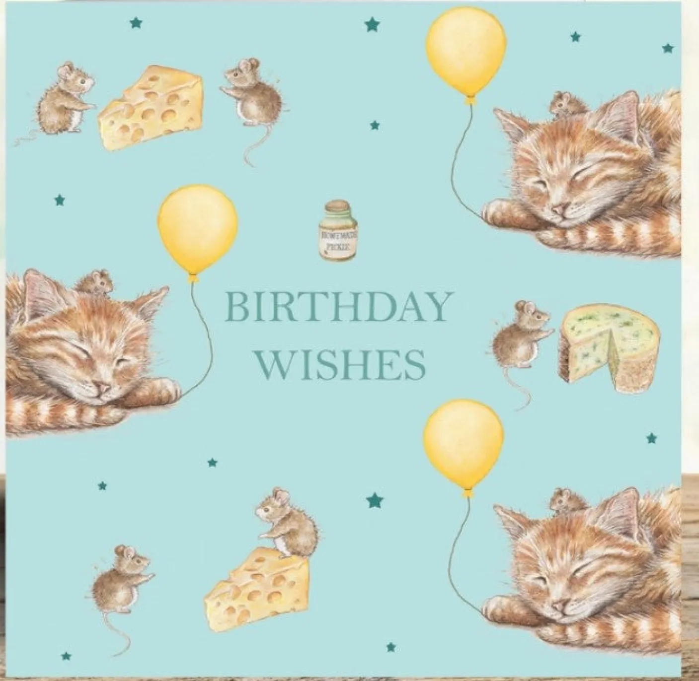 'Birthday Wishes' Cat & Mice Birthday Card
