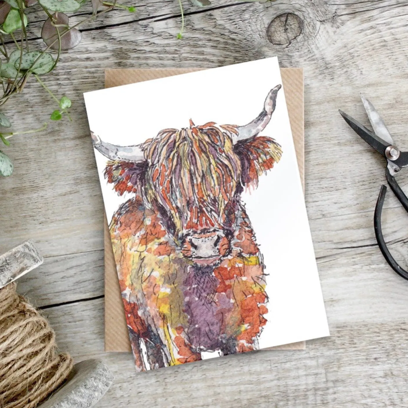 Highland Cow Greetings Card