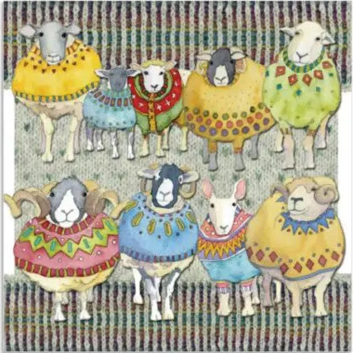 Woolly Sheep Big Family Greetings Card