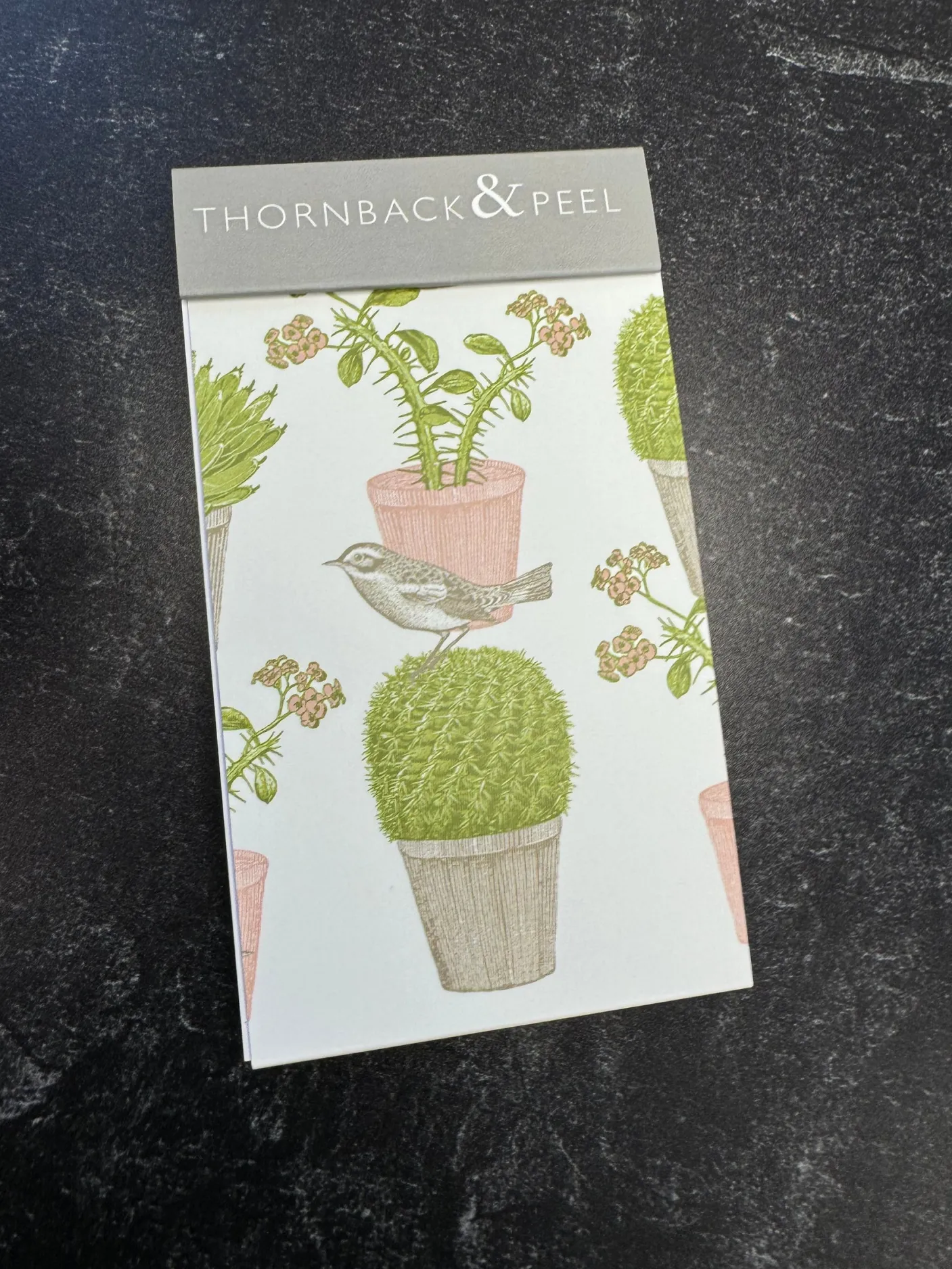 Cactus & Bird Mini Notepad