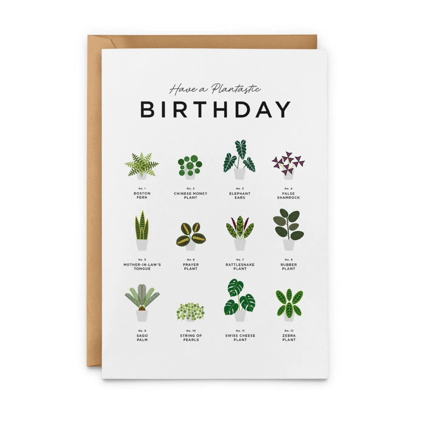 Have a Plantastic Birthday Card