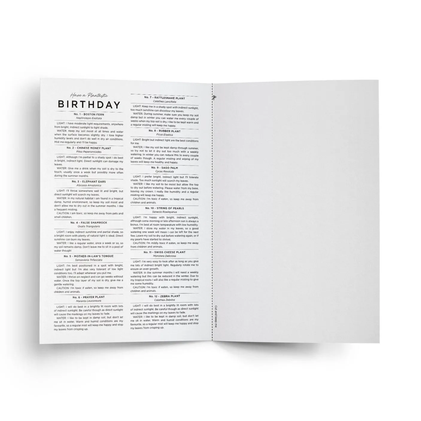 Have a Plantastic Birthday Card