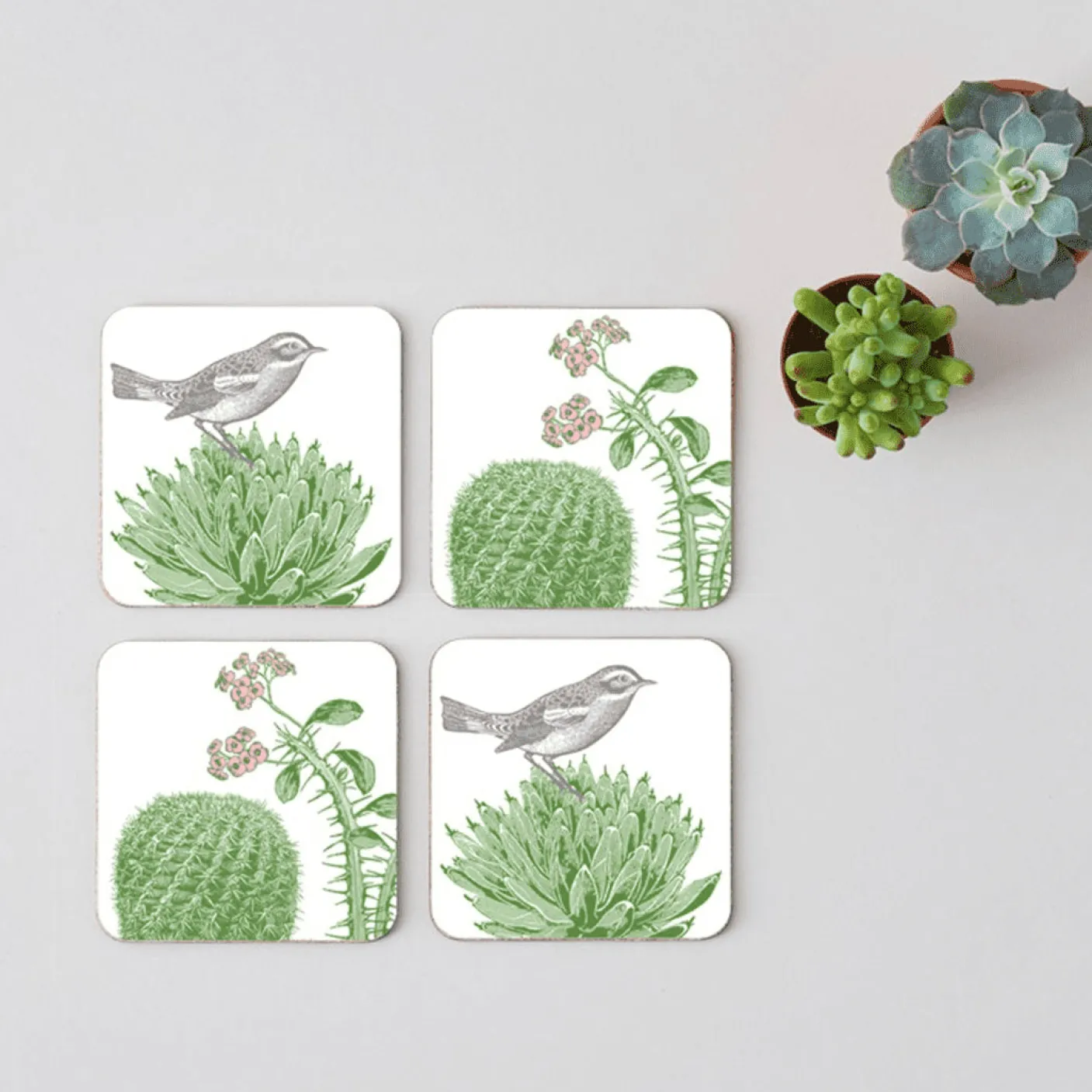 Cactus & Bird Set of 4 Coasters