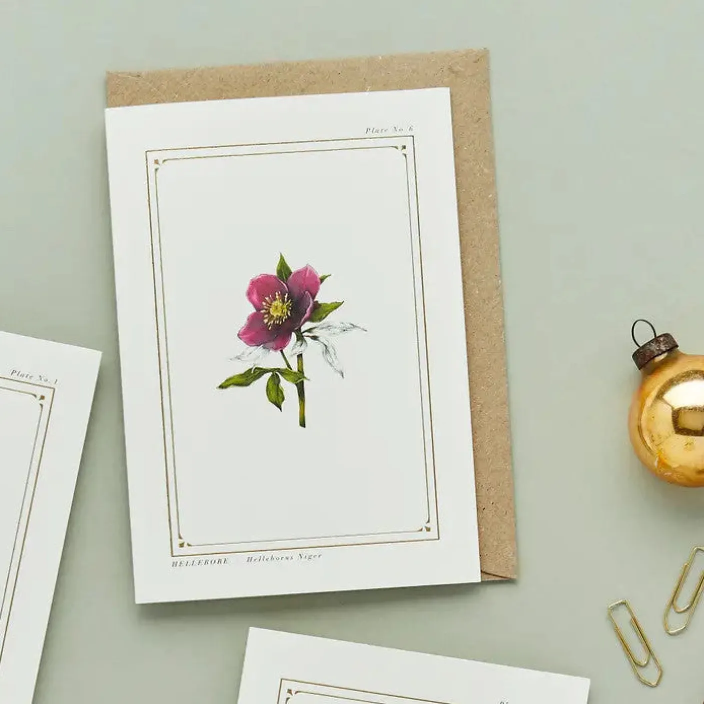 Hellebore - 'Botanical Archive: Festive Edition' - card