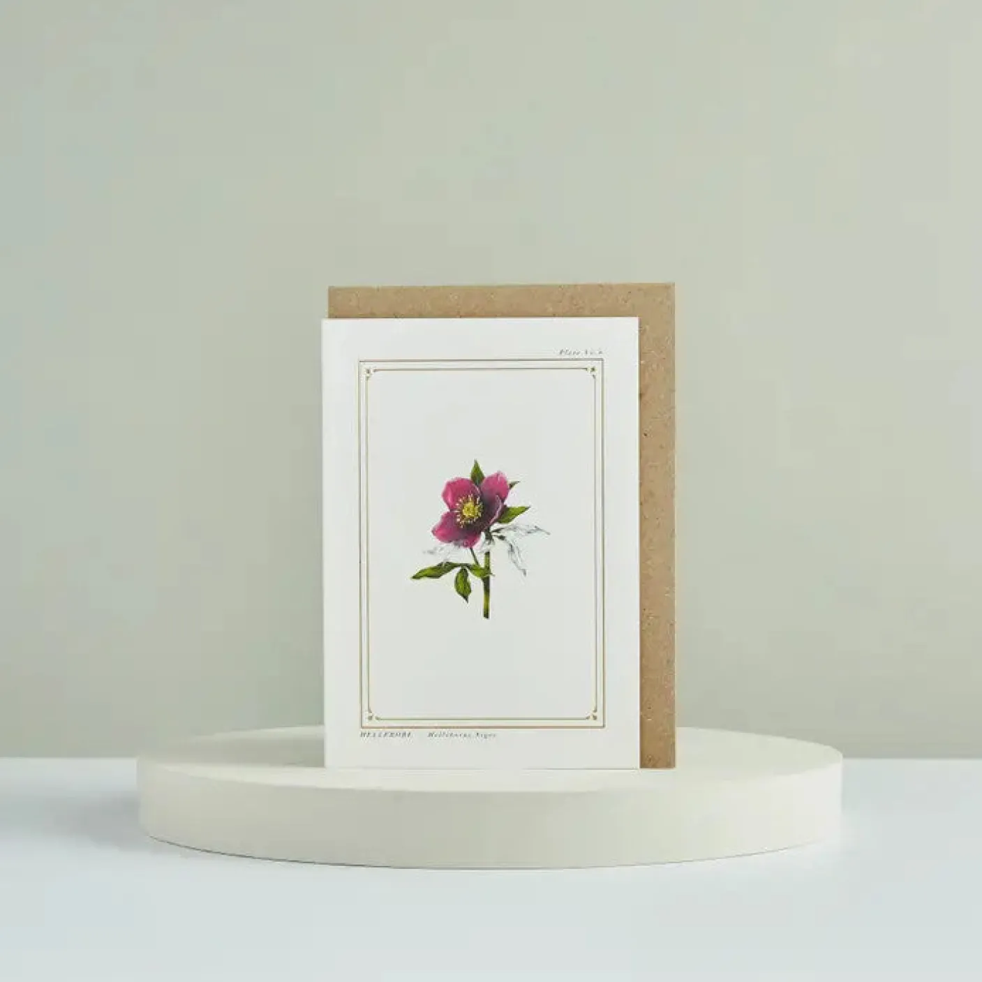 Hellebore - 'Botanical Archive: Festive Edition' - card