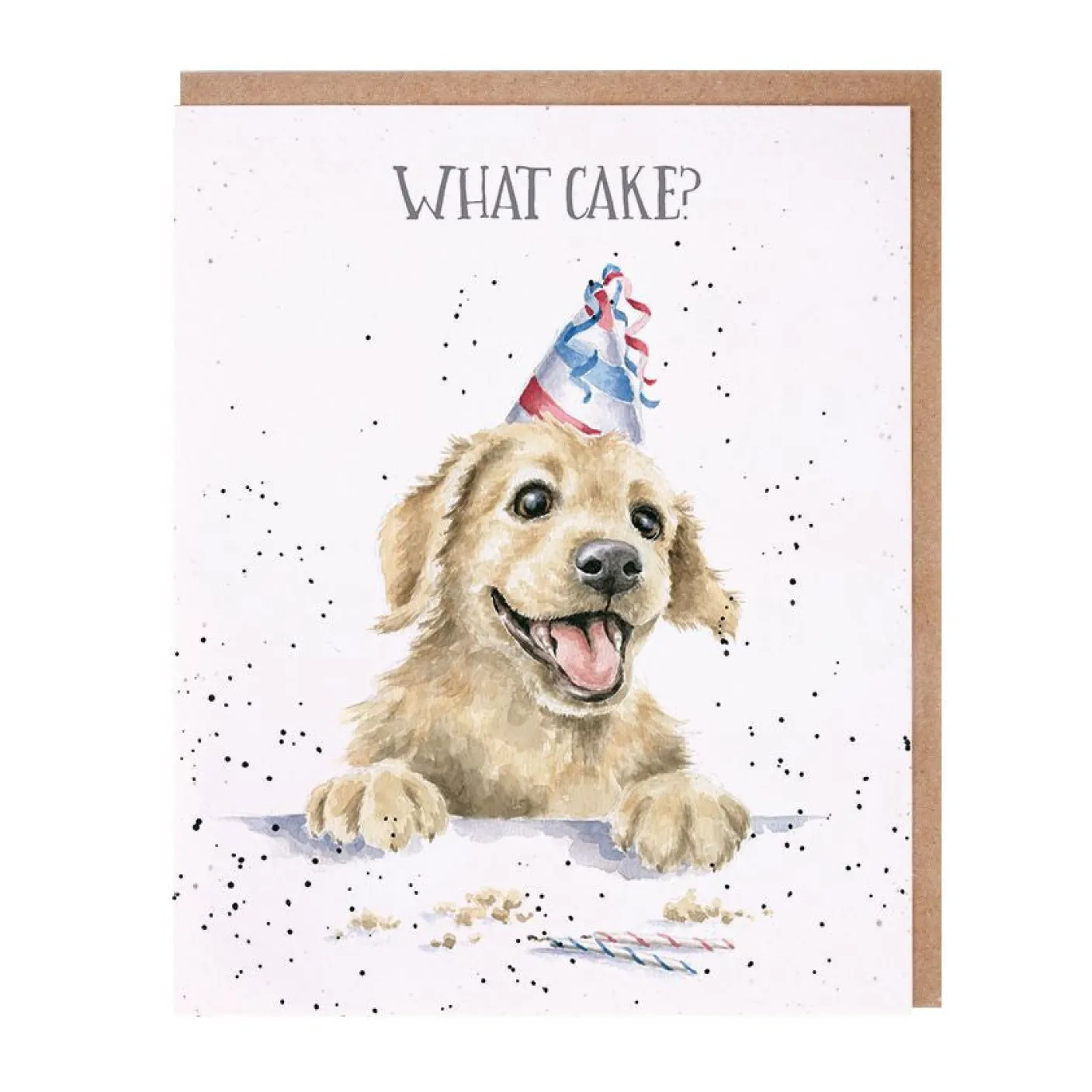 'What Cake?' Birthday Greetings Card