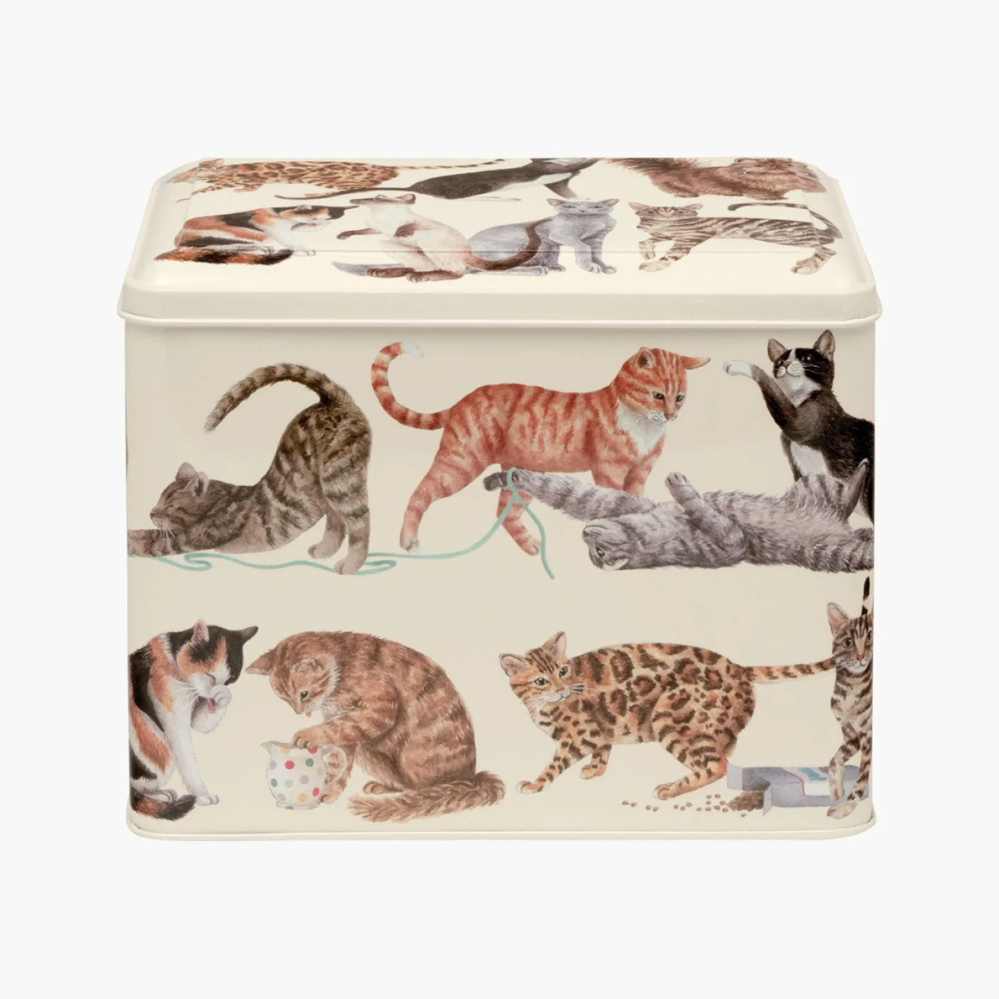 Cats Large Hinged Caddy