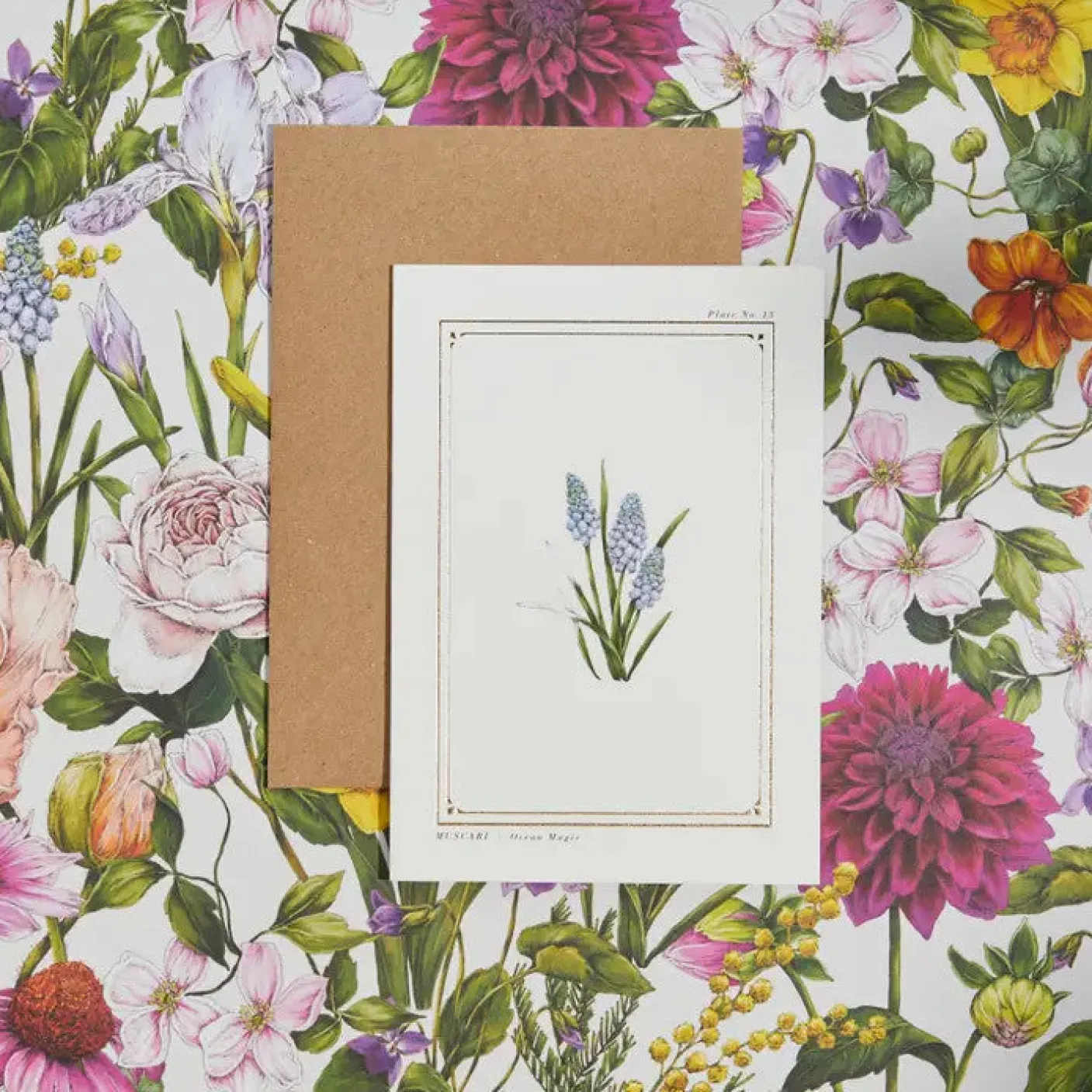Muscari - 'Botanical Archive: Everyday Edition' - card