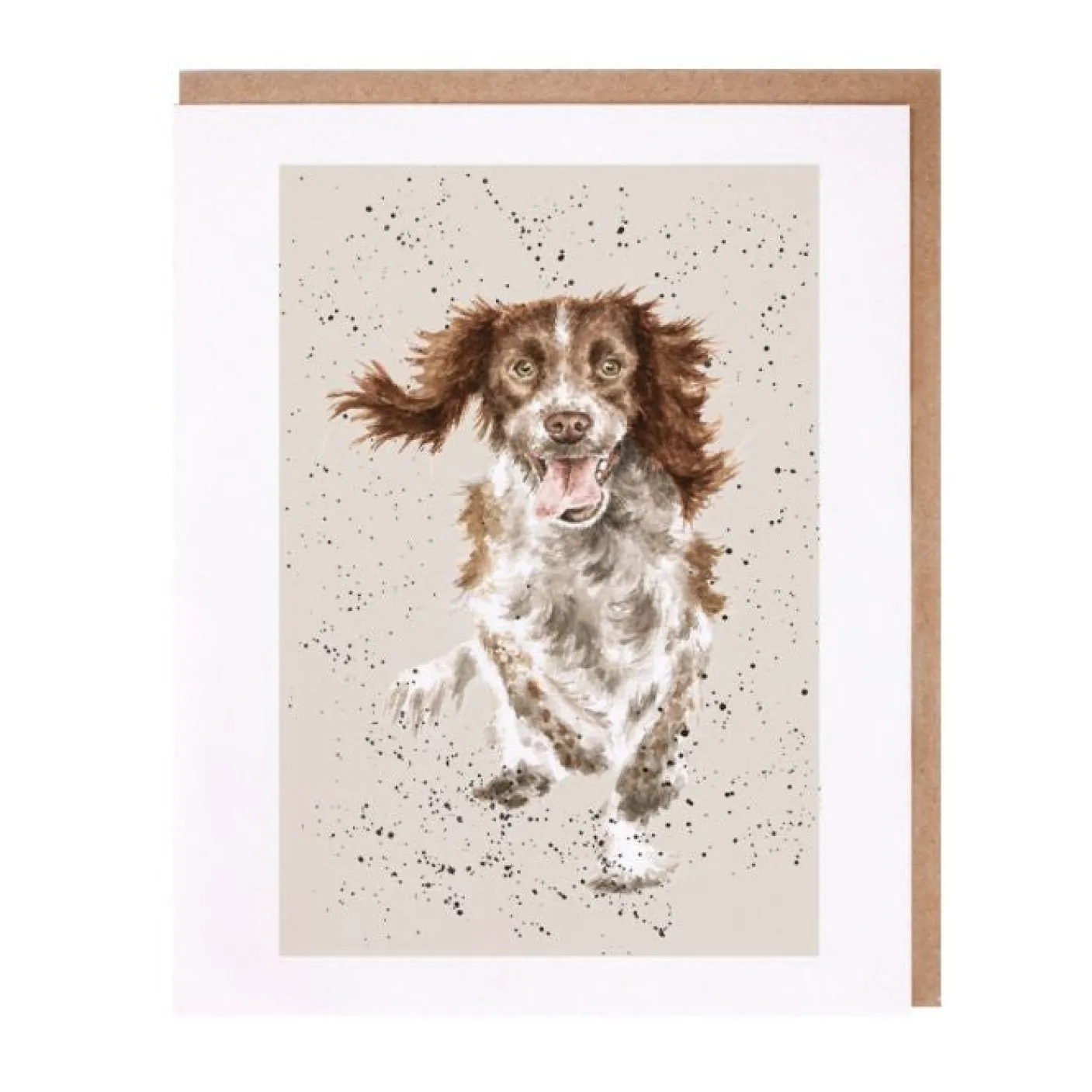 'Skye' Springer Spaniel Greetings Card