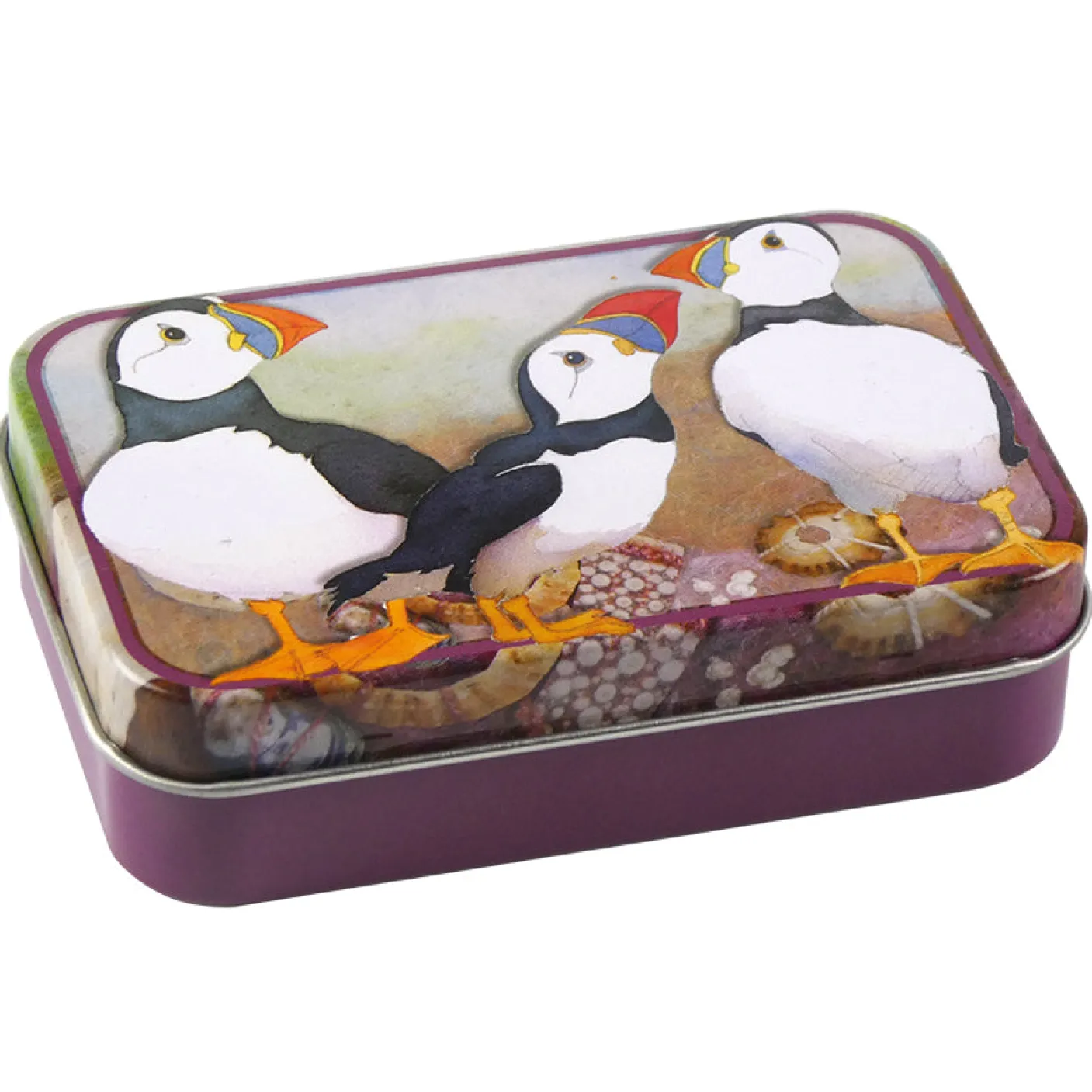 Felted Puffin Hinged Small Rectangular Tin