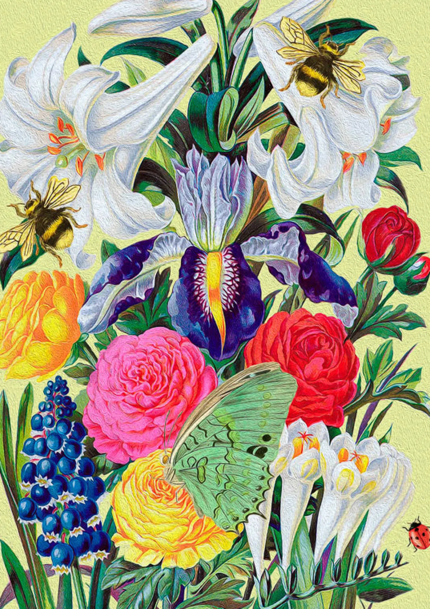 From the Walled Garden Greetings Card