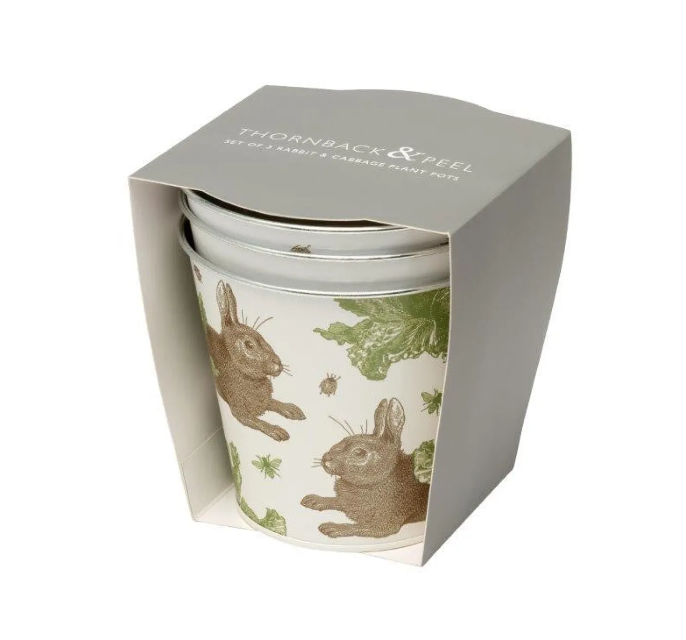 Rabbit & Cabbage Set 3 Round Tin Herb Pots