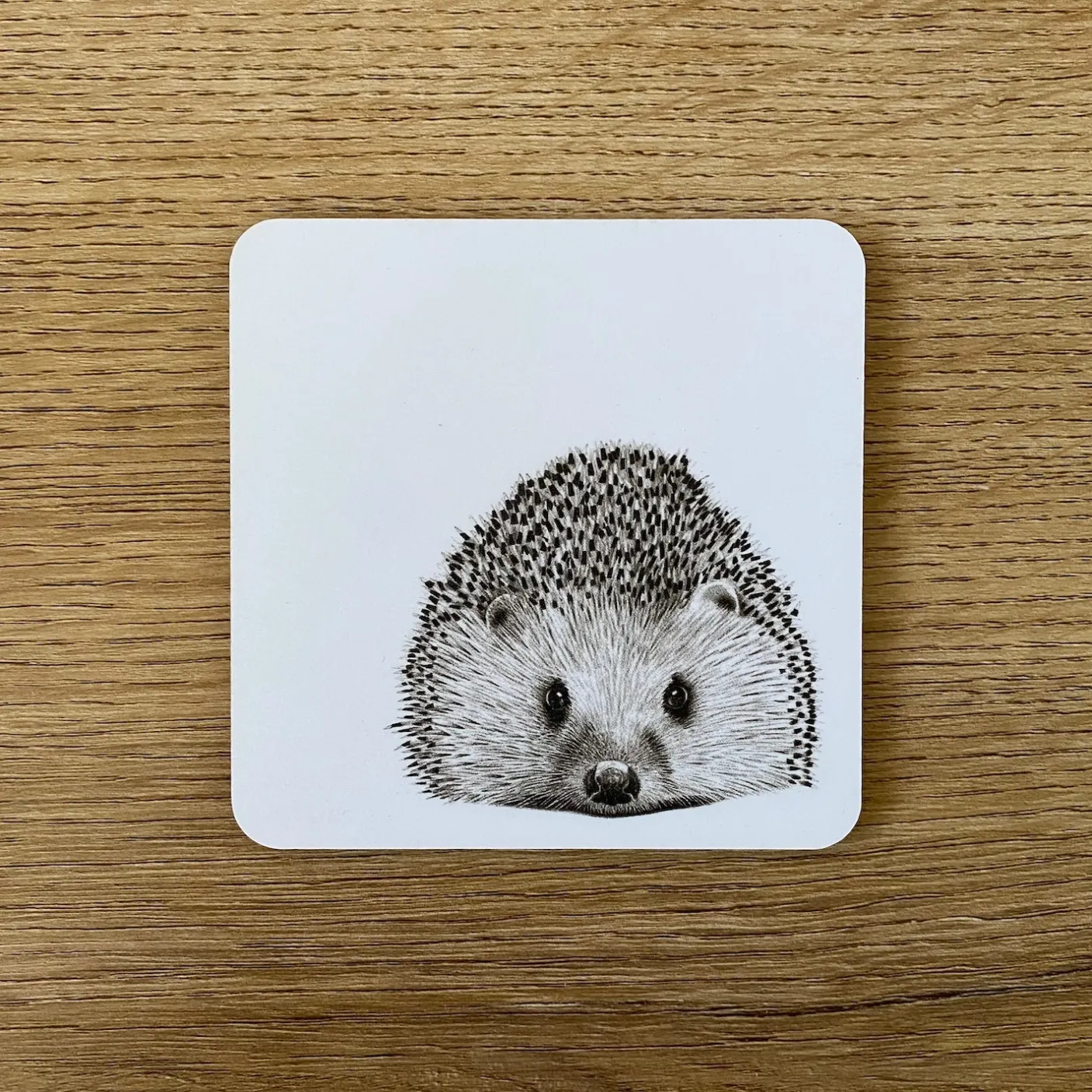 Henry Hedgehog Coaster