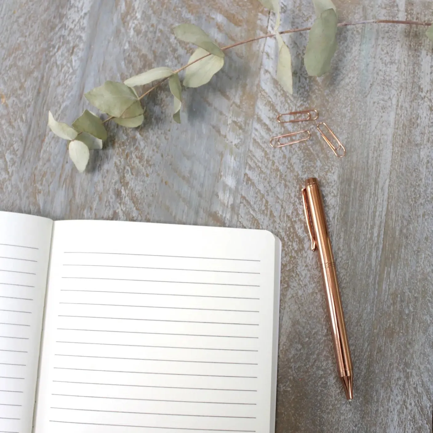 Christmas Dogs A5 Lined Notebook