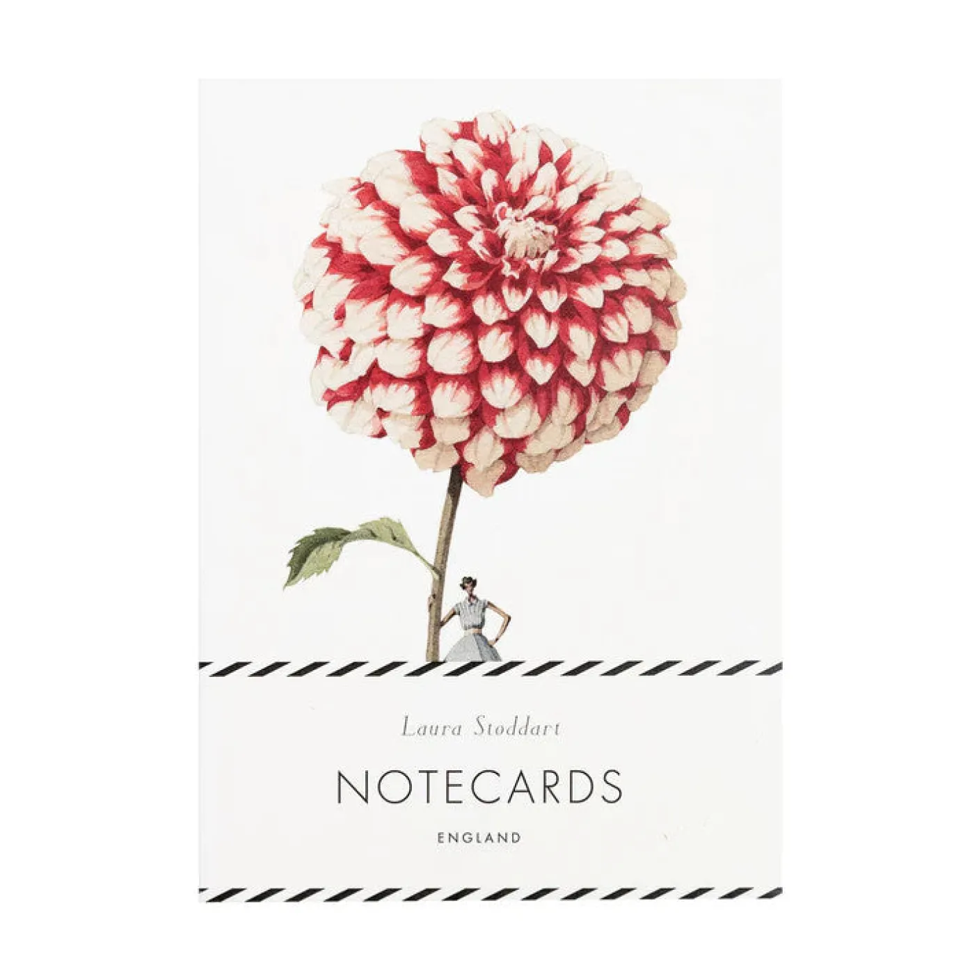In Bloom Dahlia Notecards Set
