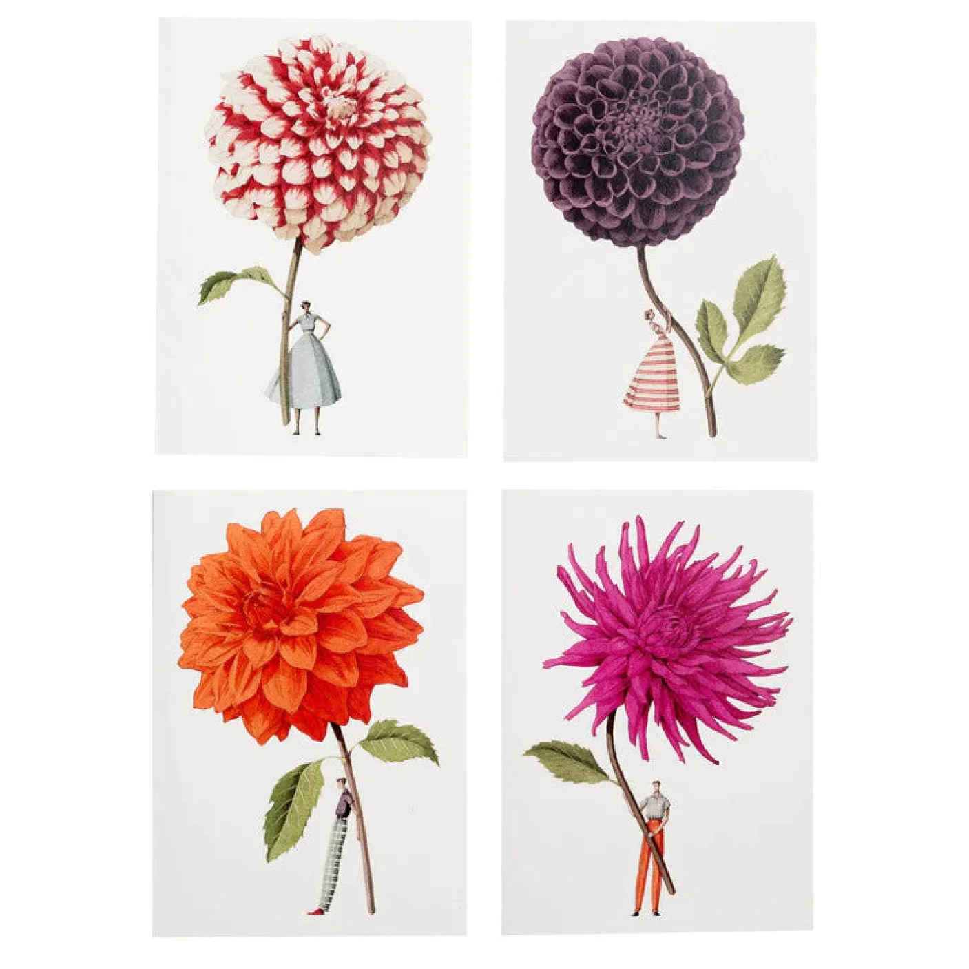 In Bloom Dahlia Notecards Set
