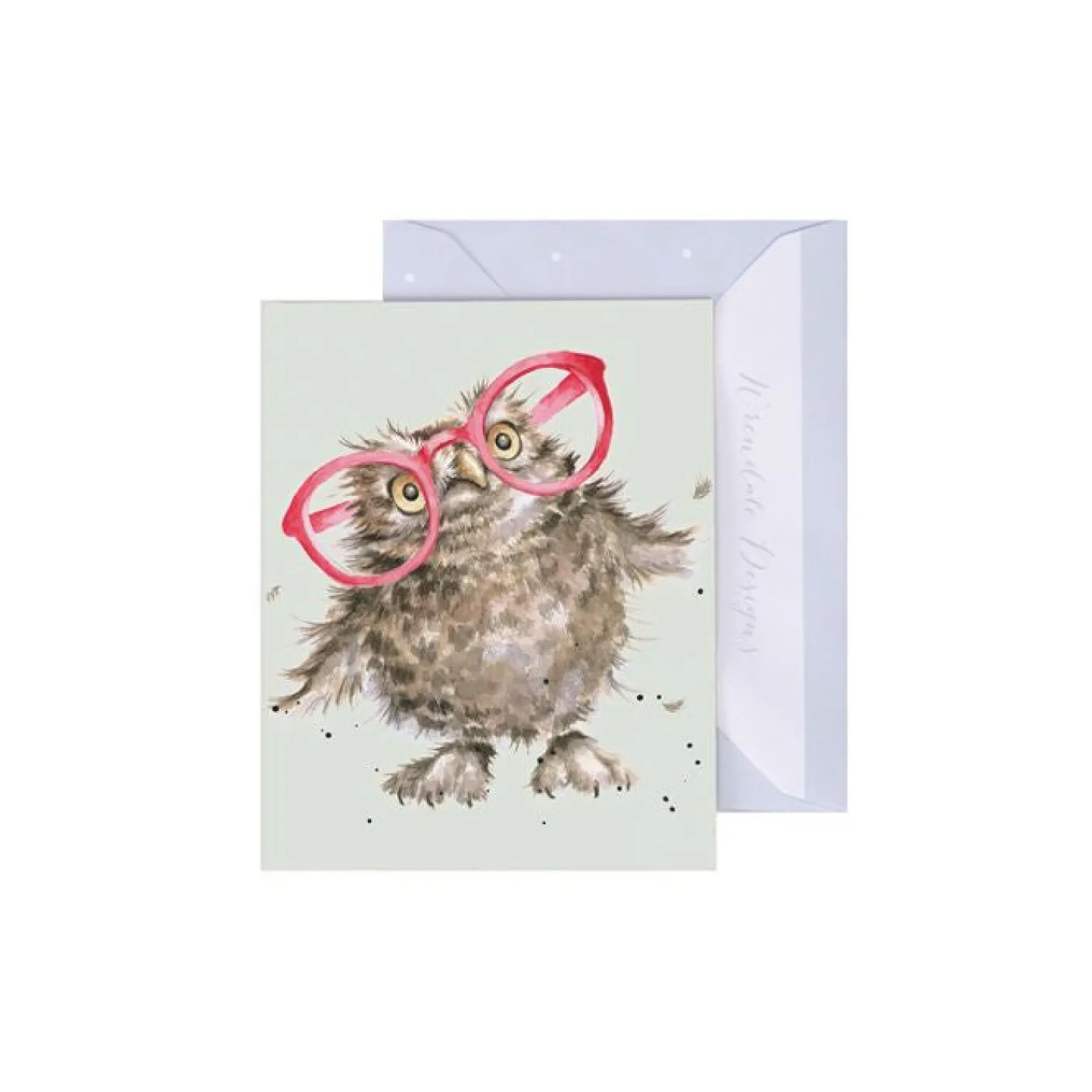 'Spectacular' Owl Gift Enclosure Card