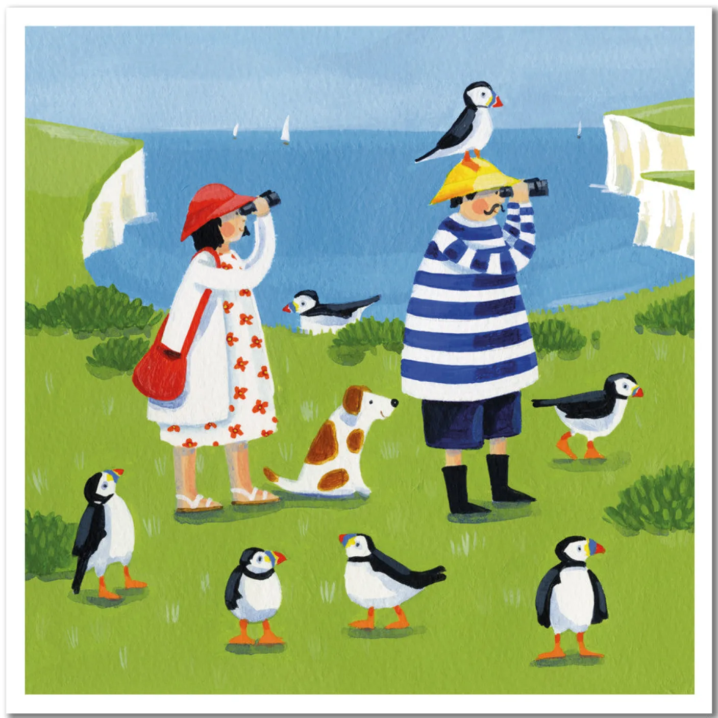 Puffin Watching Greetings Card