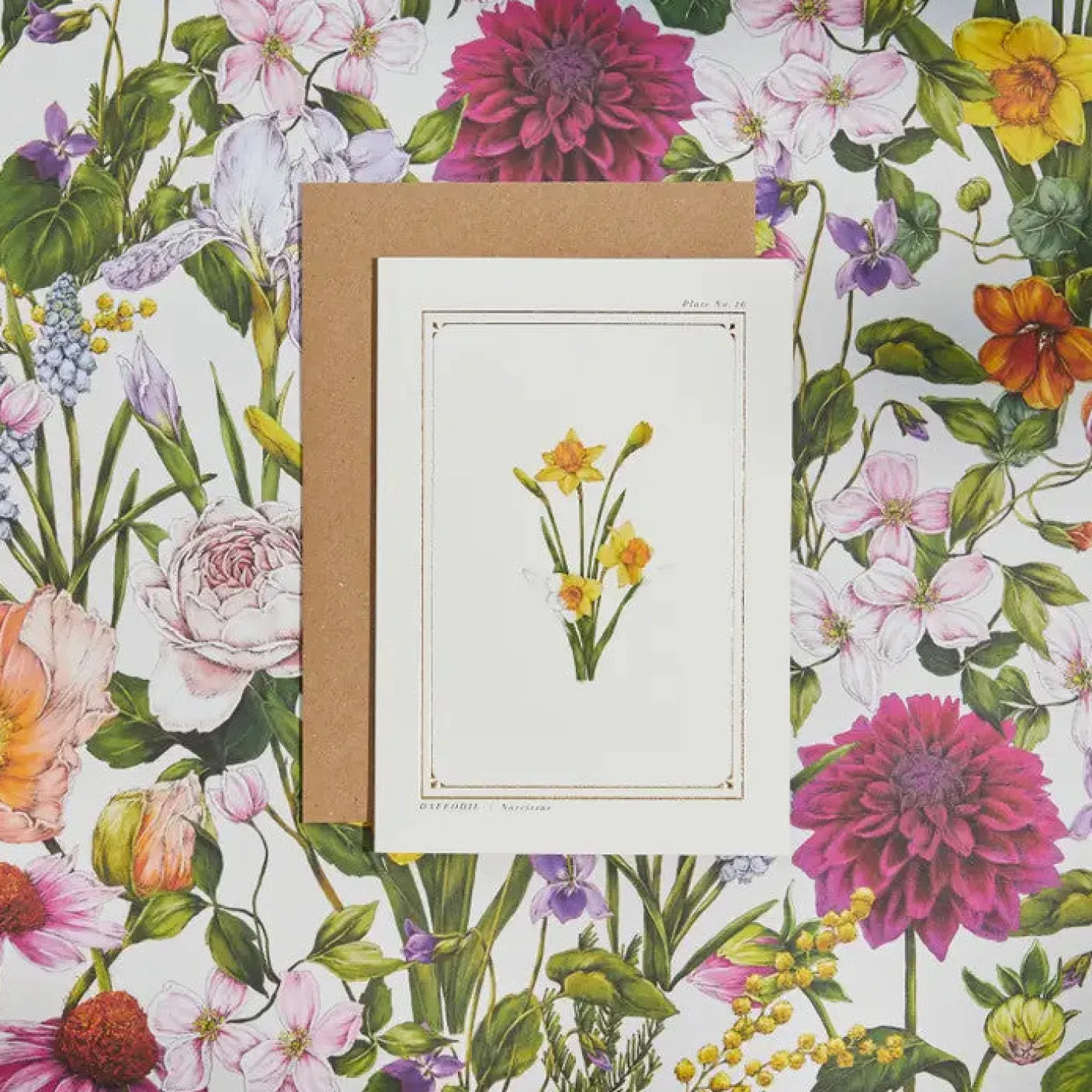 Daffodil- 'Botanical Archive: Everyday Edition' - card