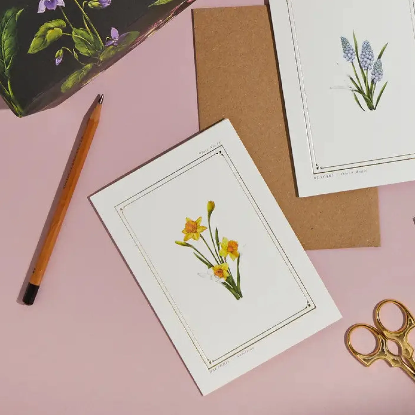 Daffodil- 'Botanical Archive: Everyday Edition' - card