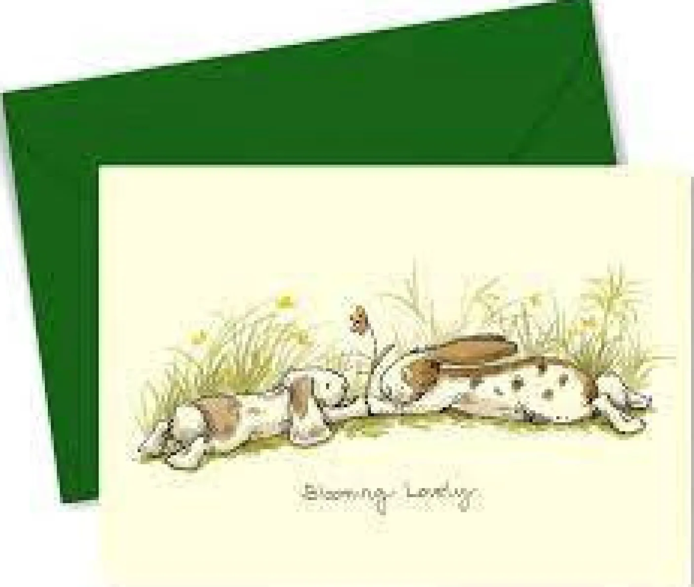 Blooming Lovely Greetings Card