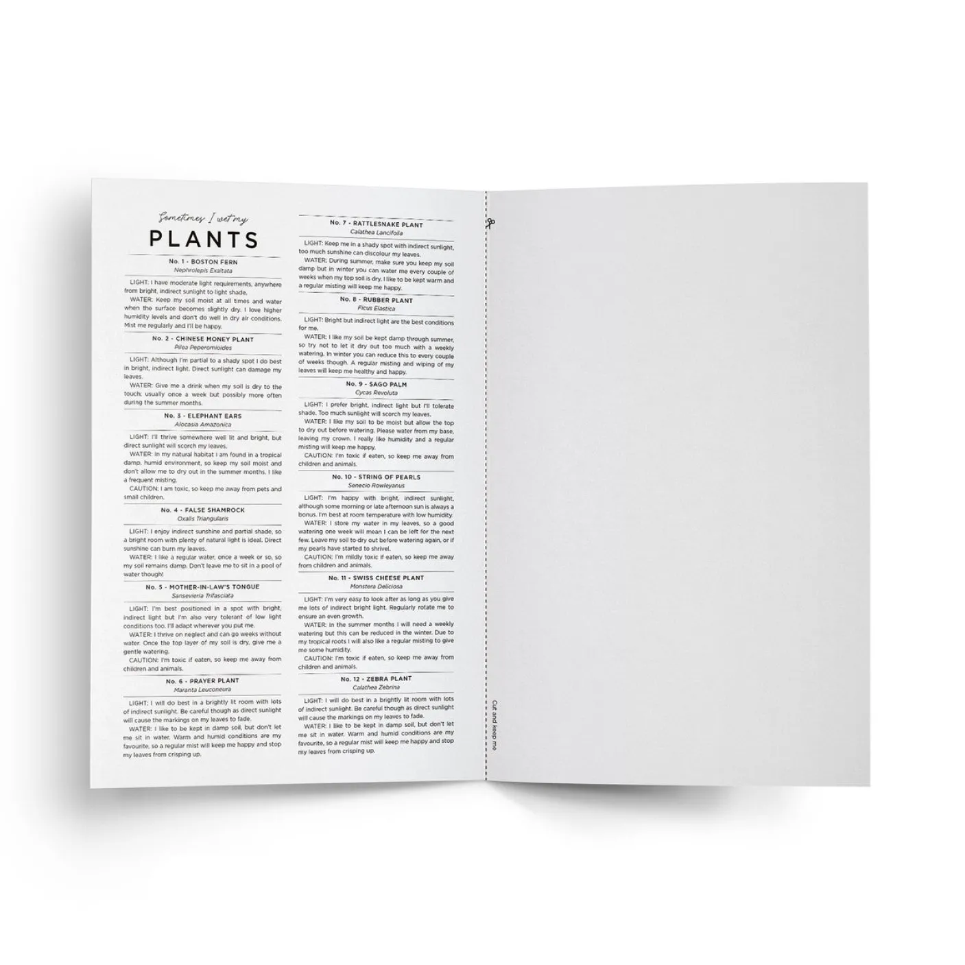 Sometimes I Wet my Plants Card