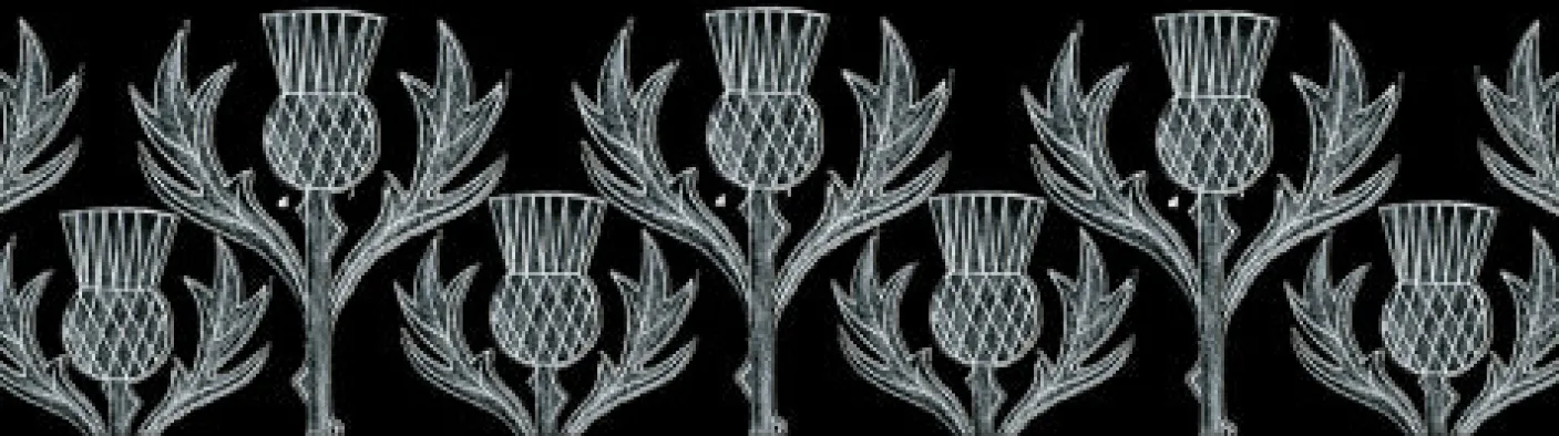 Thistle Mug by Moorland Pottery