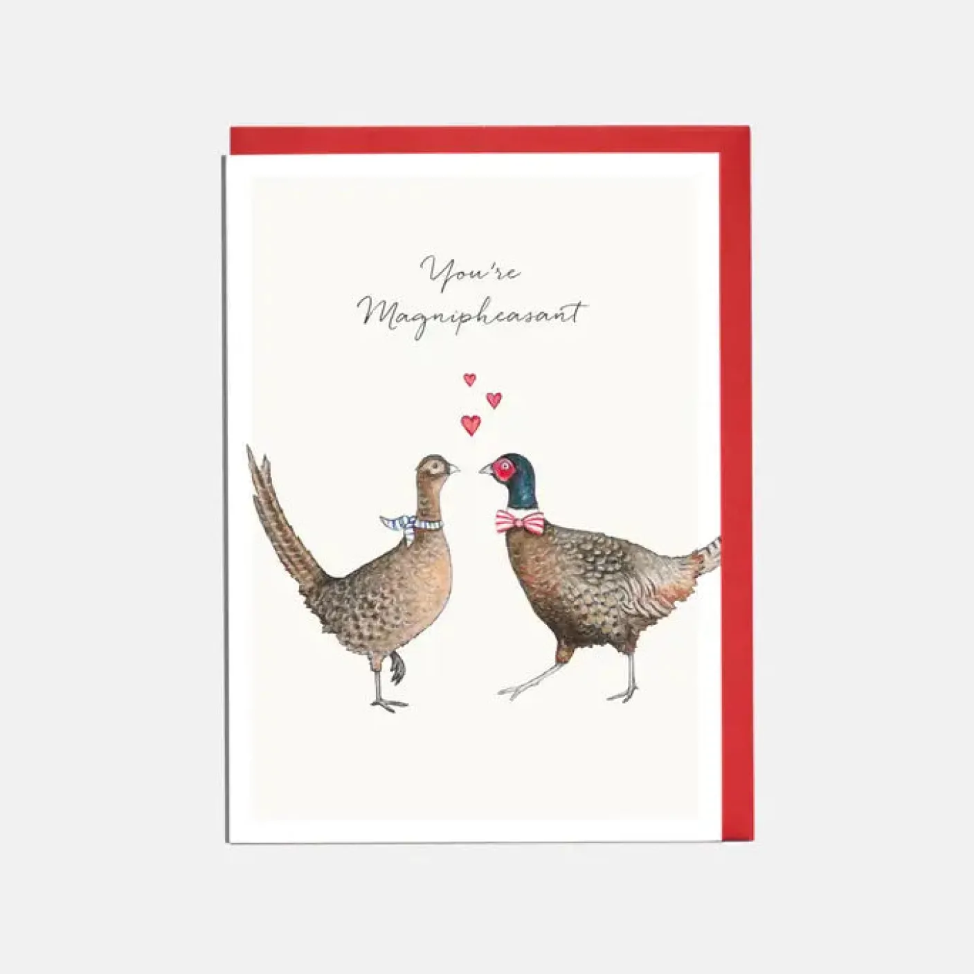 'You're Magnipheasant'  Valentine's Card