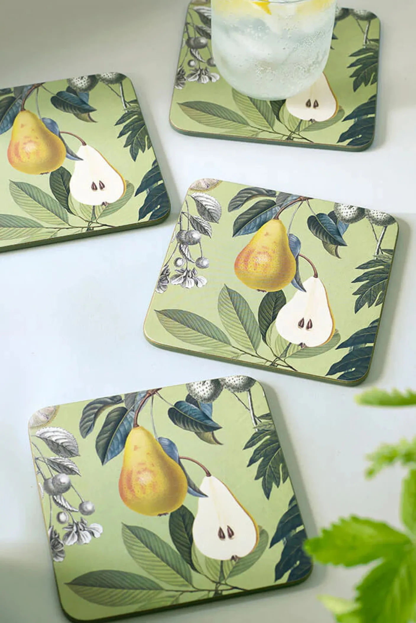 Kew Gardens Fruit and Floral Coasters (Set of 4)