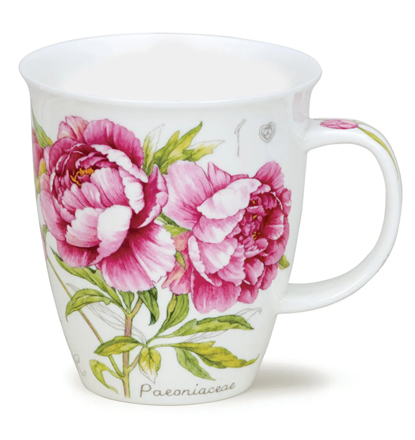 Nevis Botanical Sketch Mug