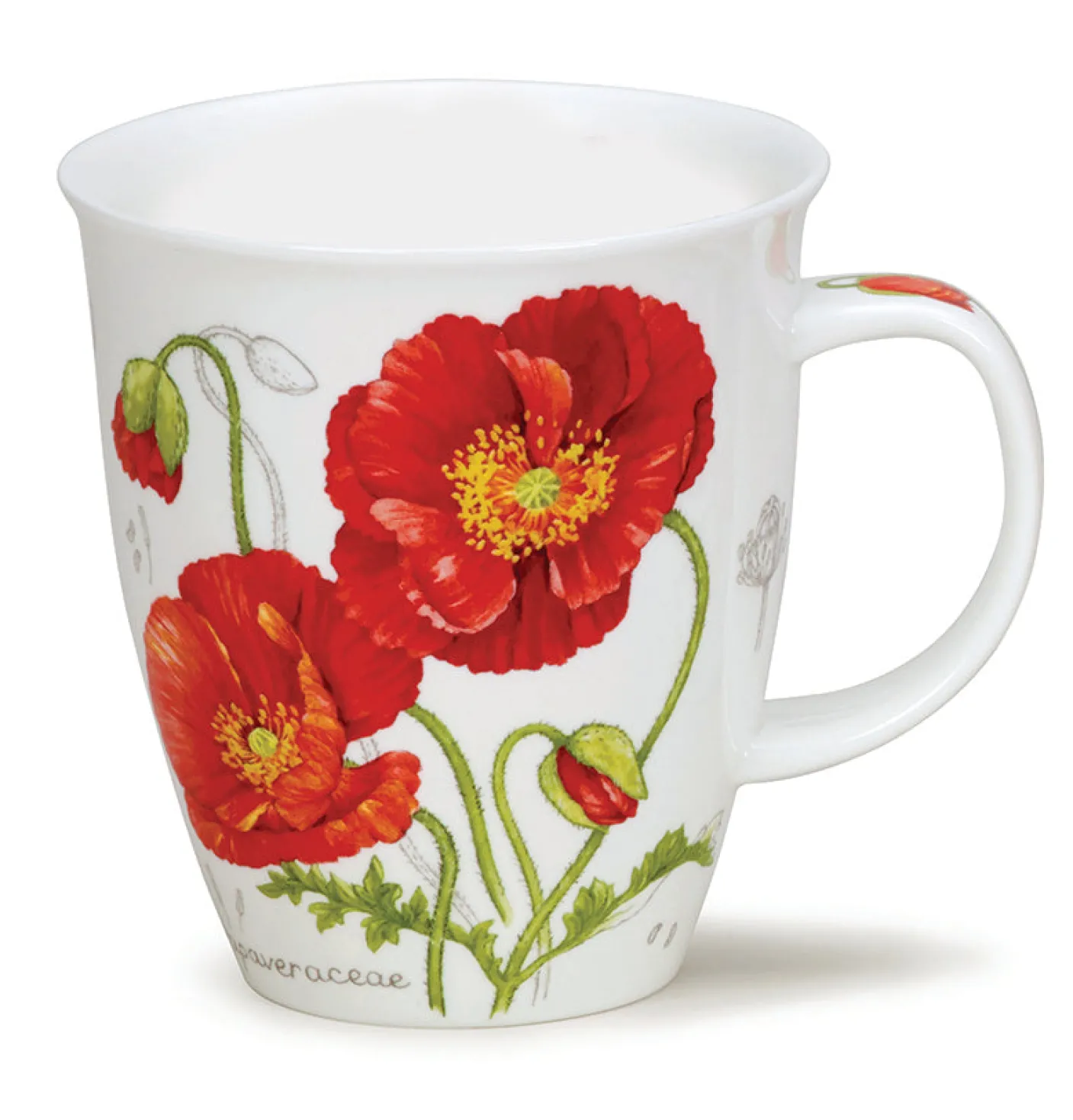 Nevis Botanical Sketch Mug