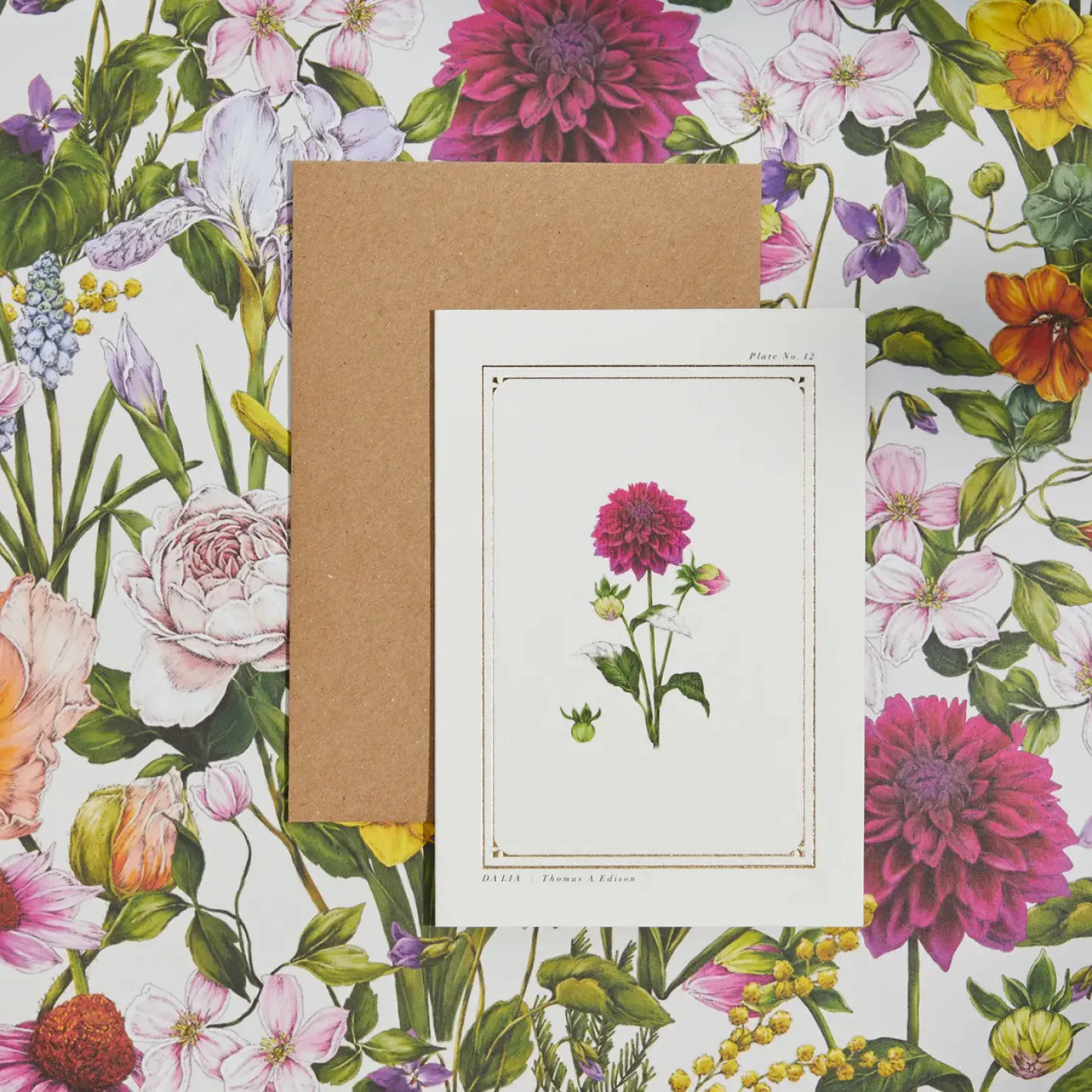 Dahlia - 'Botanical Archive: Everyday Edition' - card